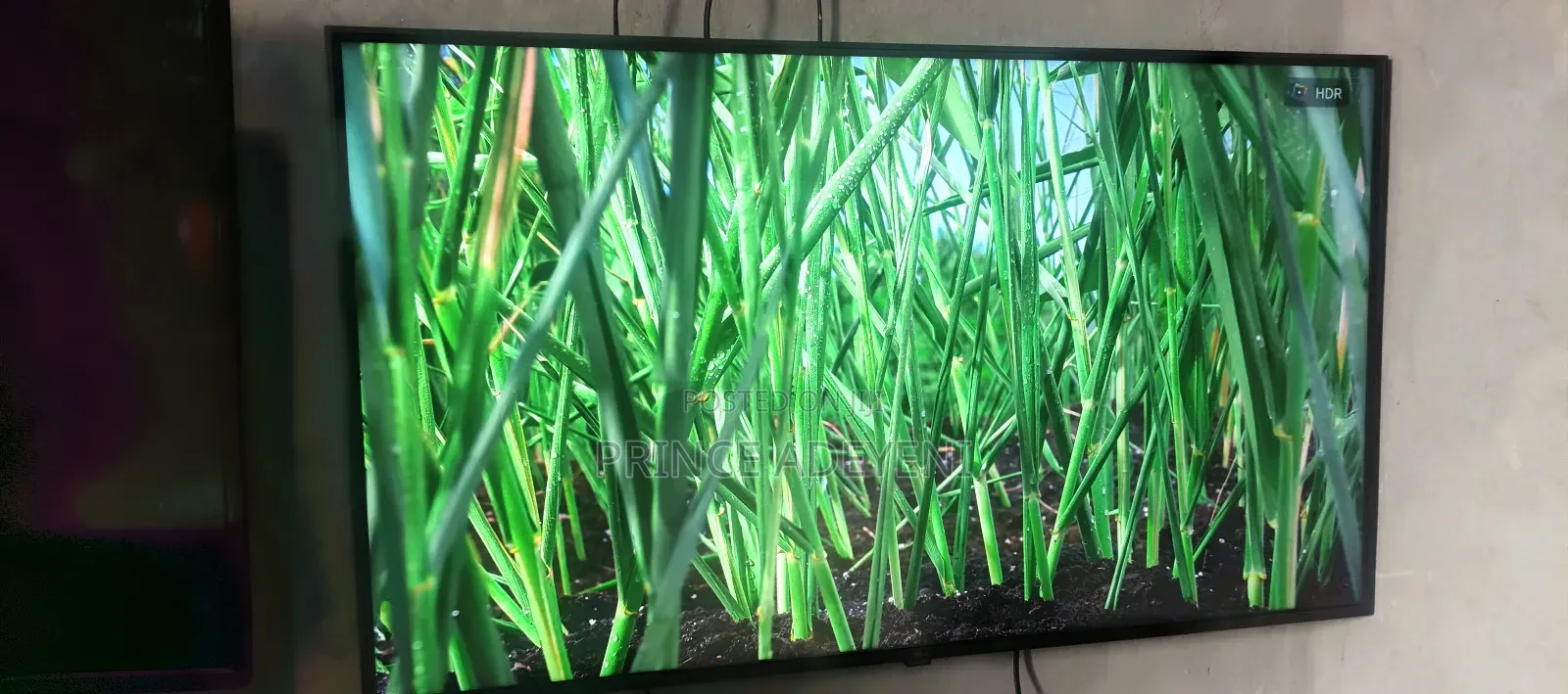 43 Inches Ai Thinq Webos 2025 Model Frameless Lg Smart Tv