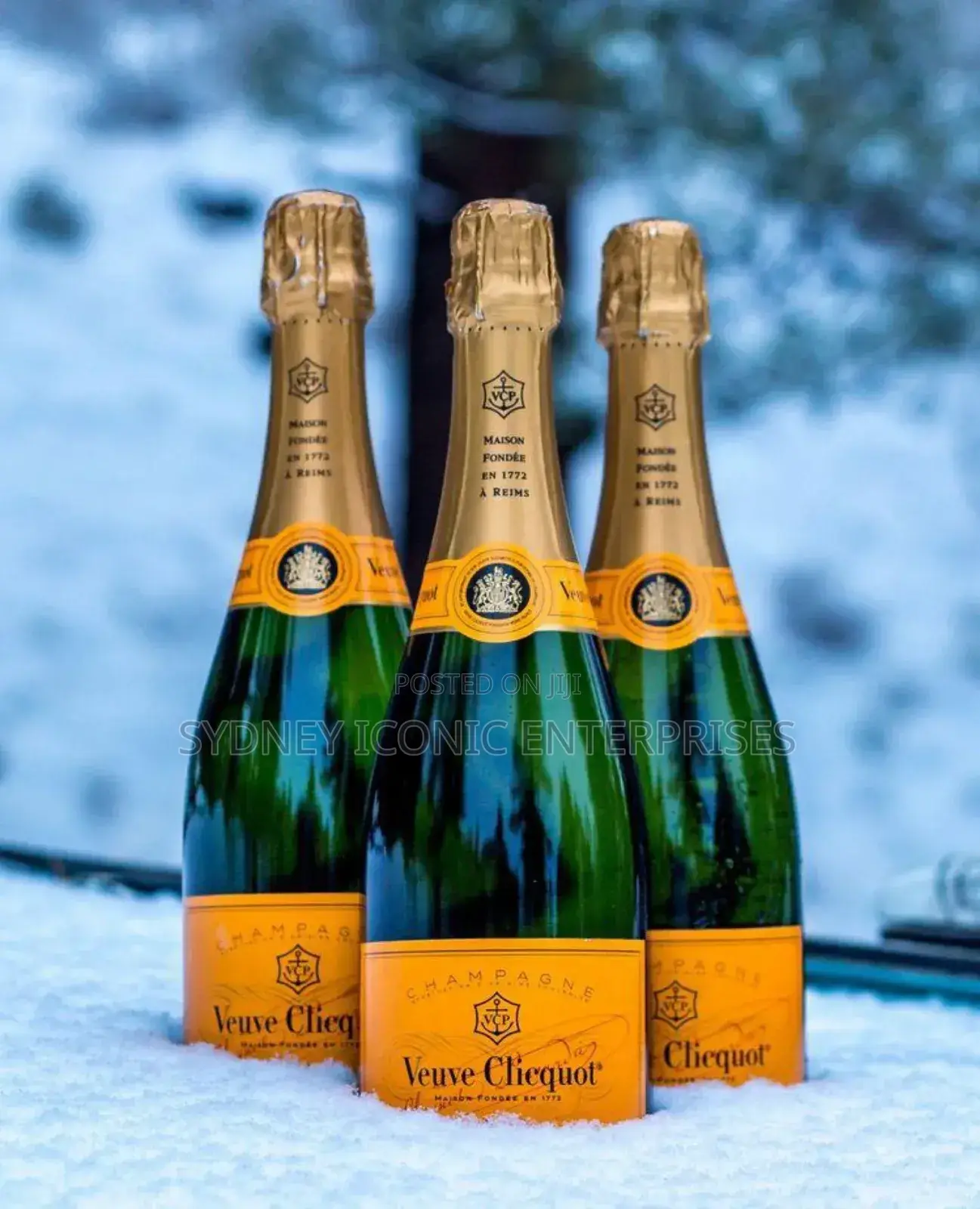 Veuve Cliquot Brut (Carton by 12 Bottles)