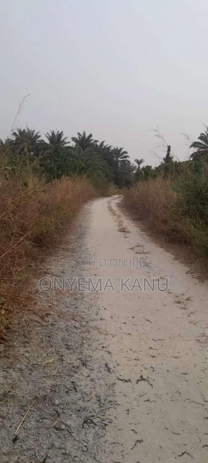 20 Fertile Plots for a Lucky Buyer.