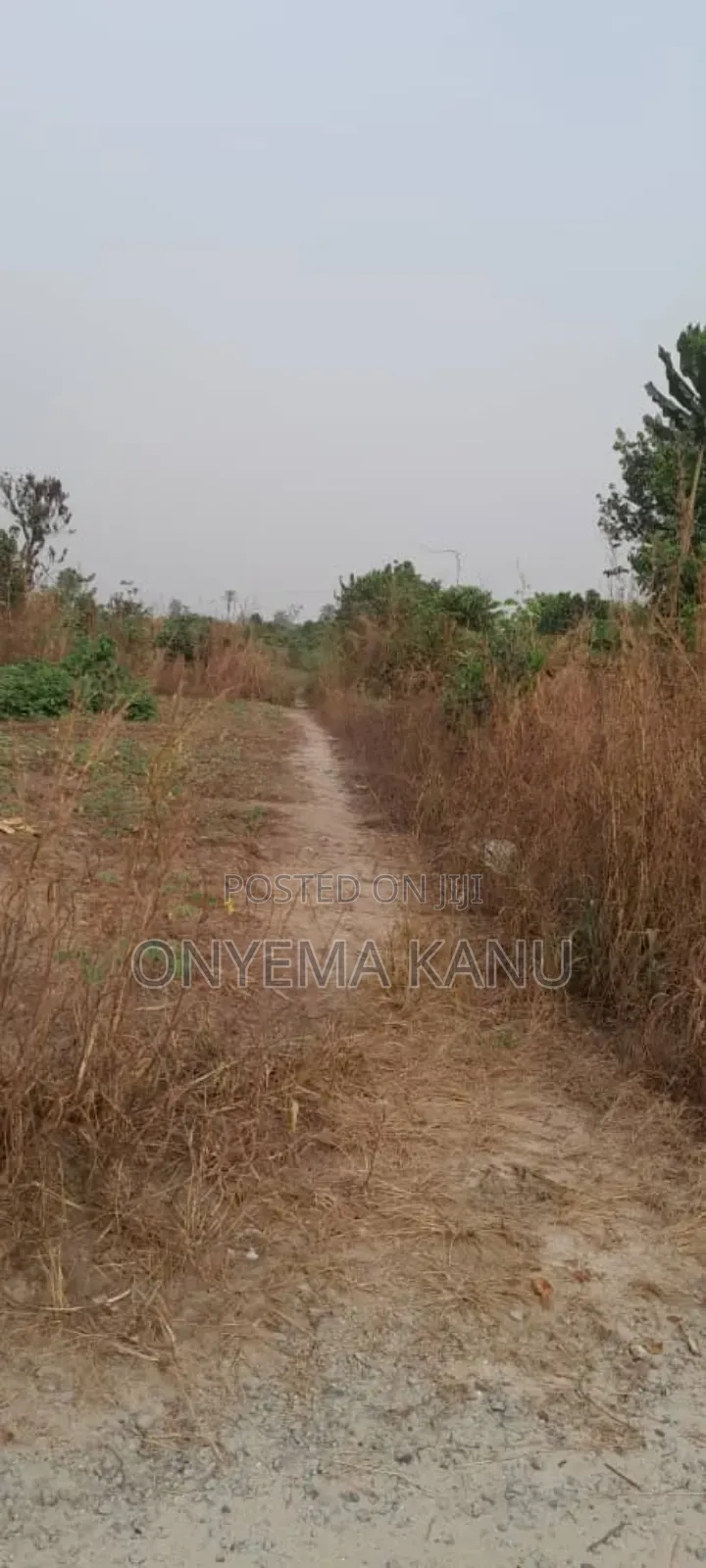20 Fertile Plots for a Lucky Buyer.