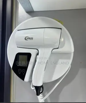 Head Dryer