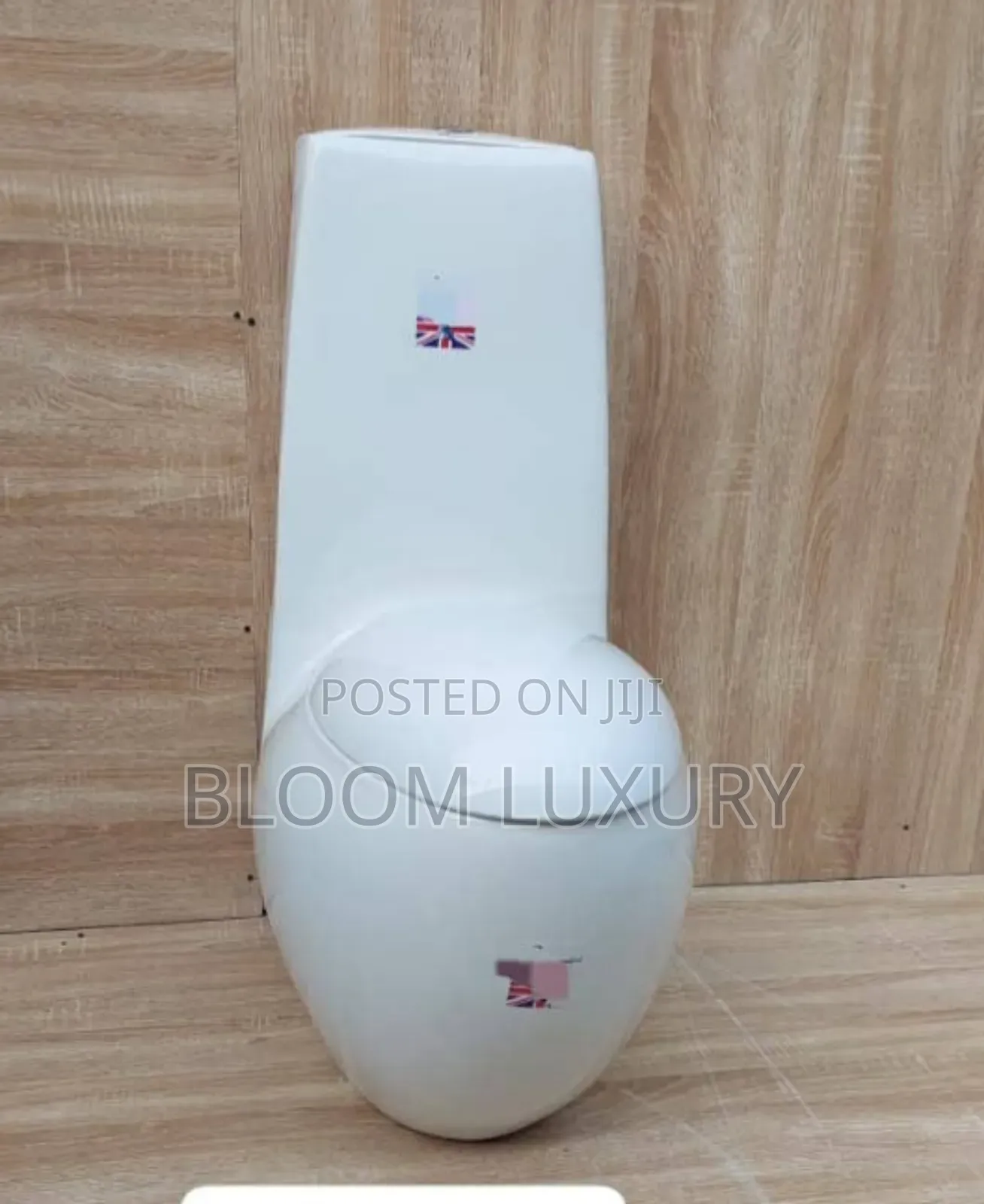 Egg Shaped Toilet