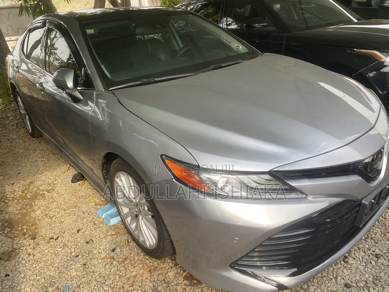 Toyota Camry XLE V6 (3.5L V6 8A) 2019 Gray