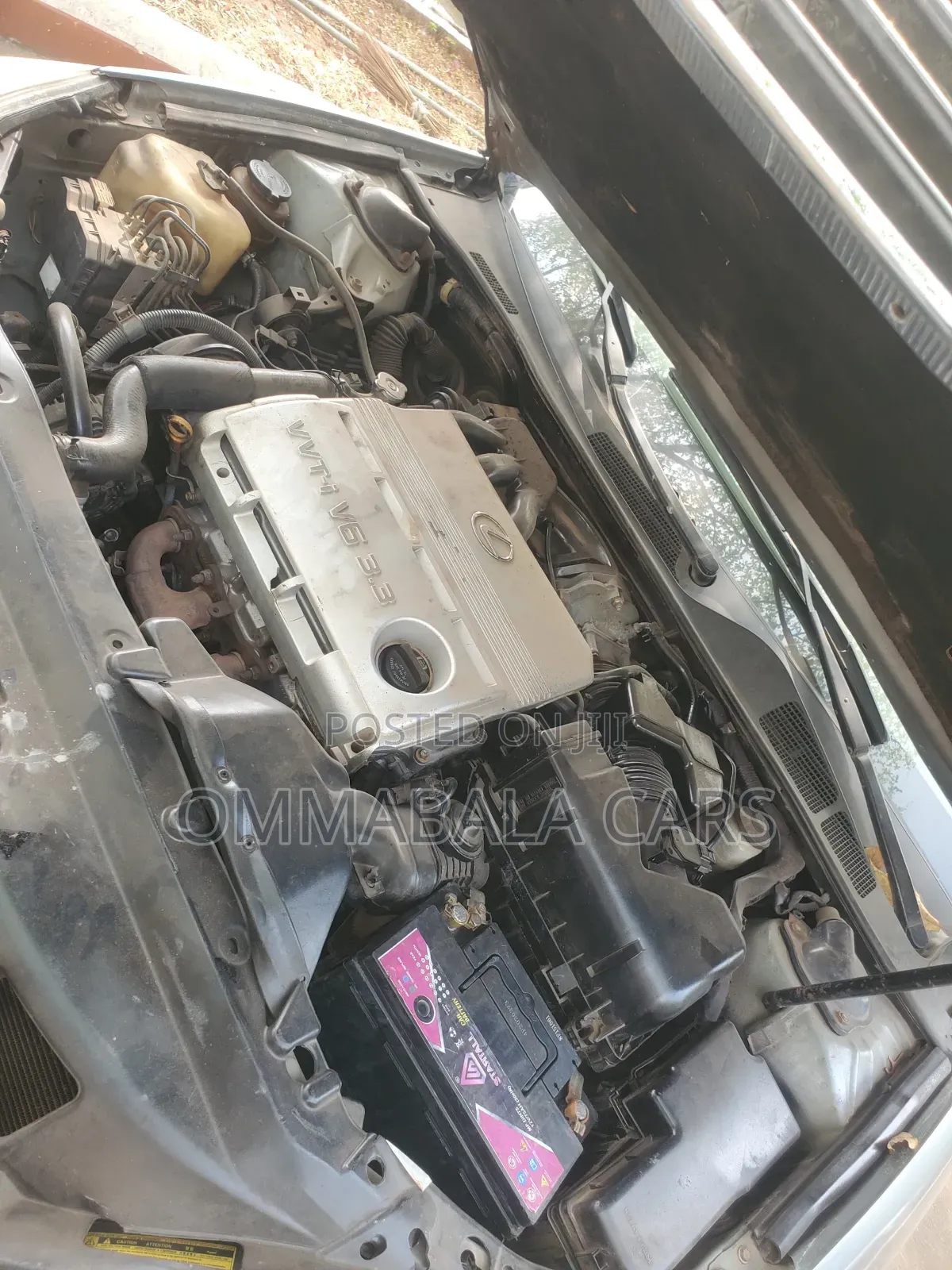 Lexus ES 330 2005 Green