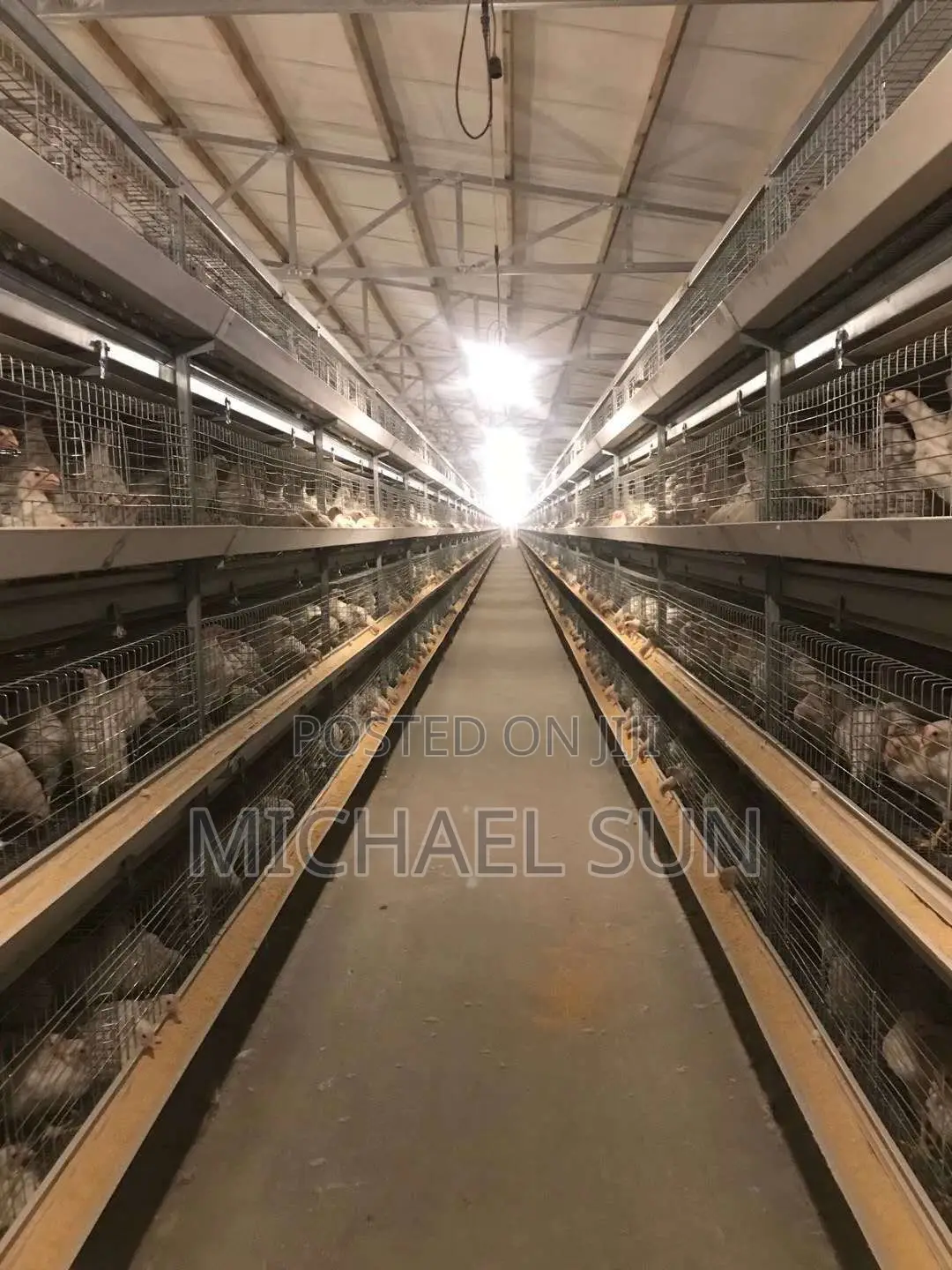 China Imported Battery Cages High Quality Battery Cage