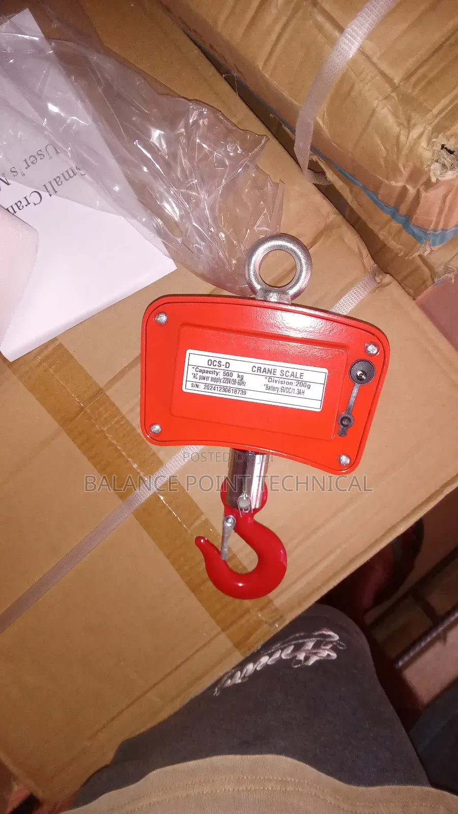 500kg Crane Scale