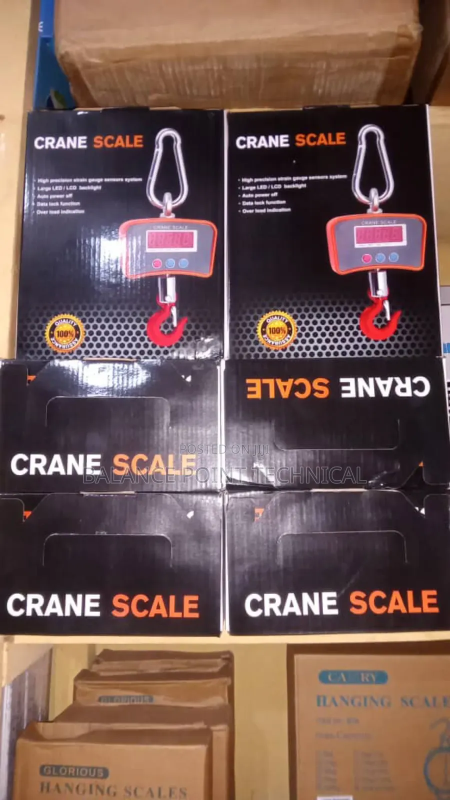500kg Crane Scale