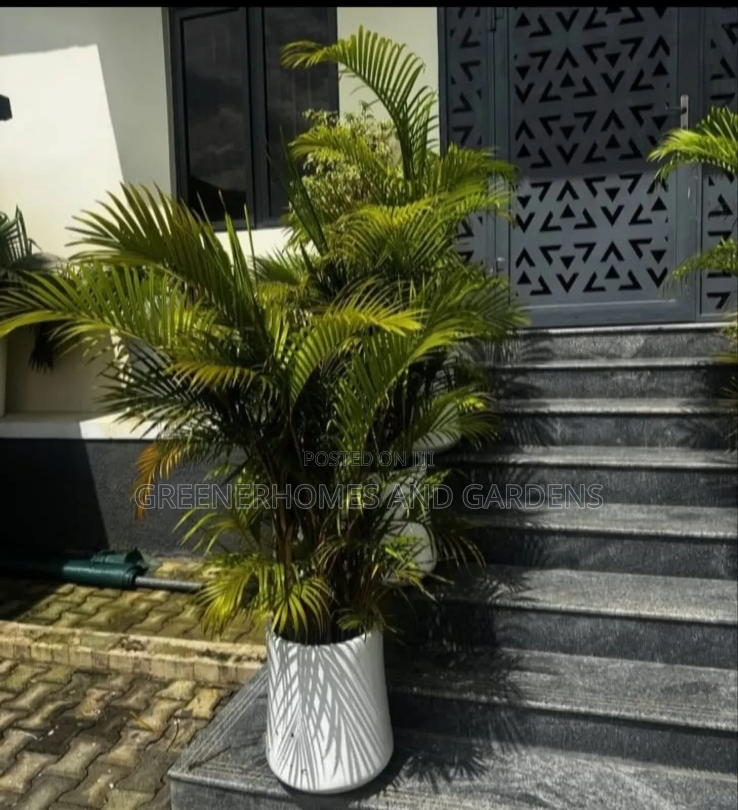 Plants Supply