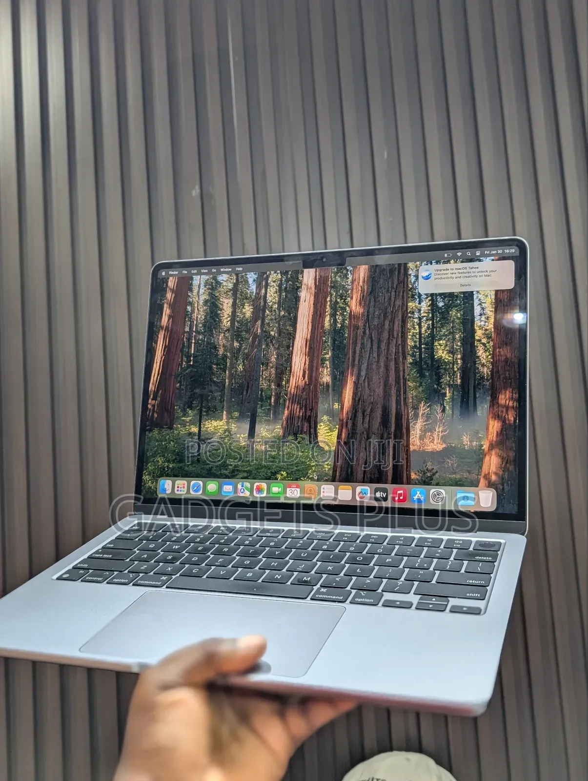 Laptop Apple MacBook Air 2025 M4 13-Inch 16GB Apple M4 SSD 256GB