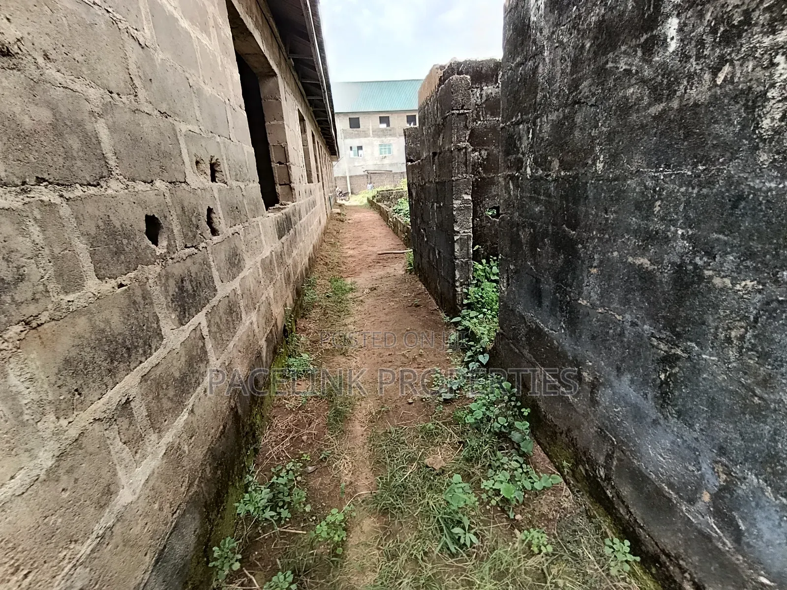 Half Plot of Land in a Very Decent Area