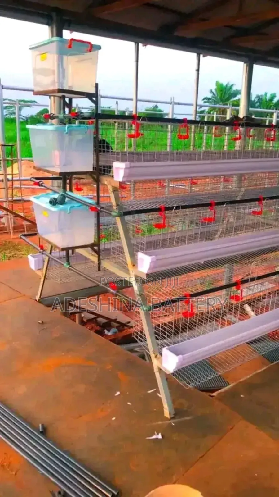 Farm Cages That Keep Your Chicken