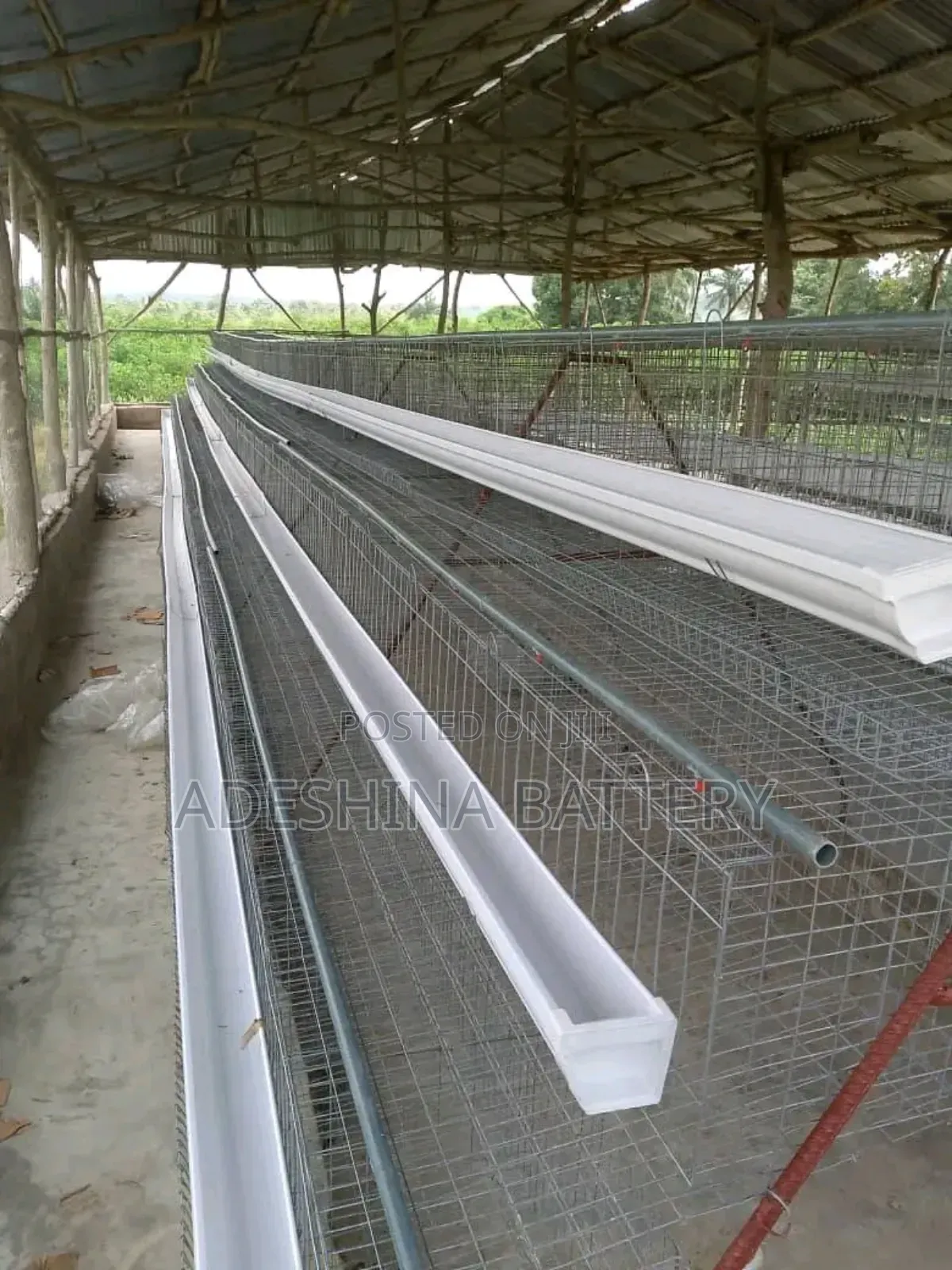 Farm Cages That Keep Your Chicken