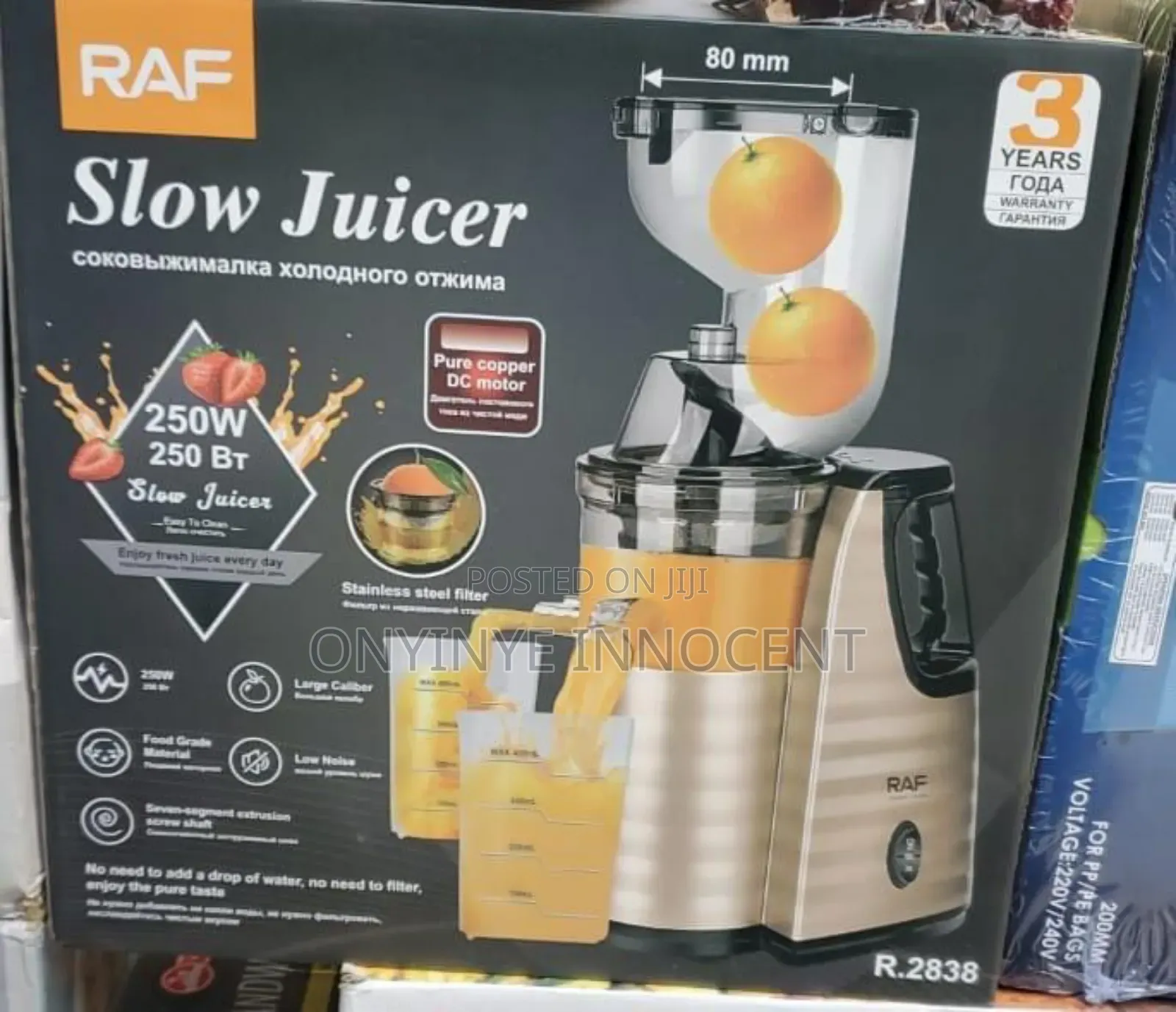 Raf 250w Slow Juicer - Cold Press Extractor (Model R.2838)