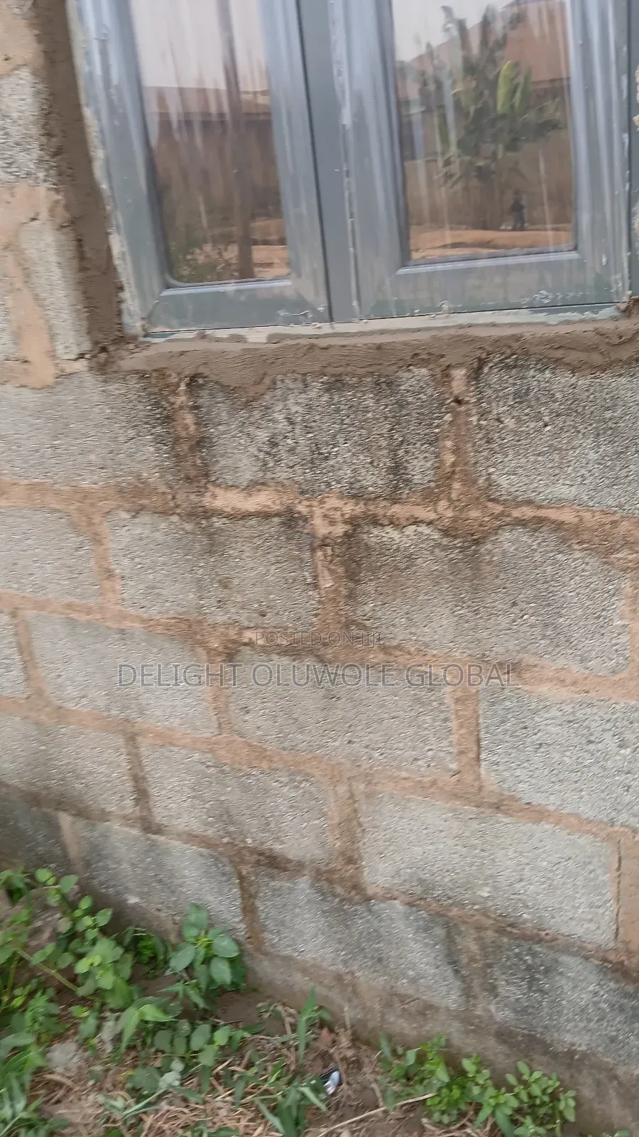 Aluminum Windows