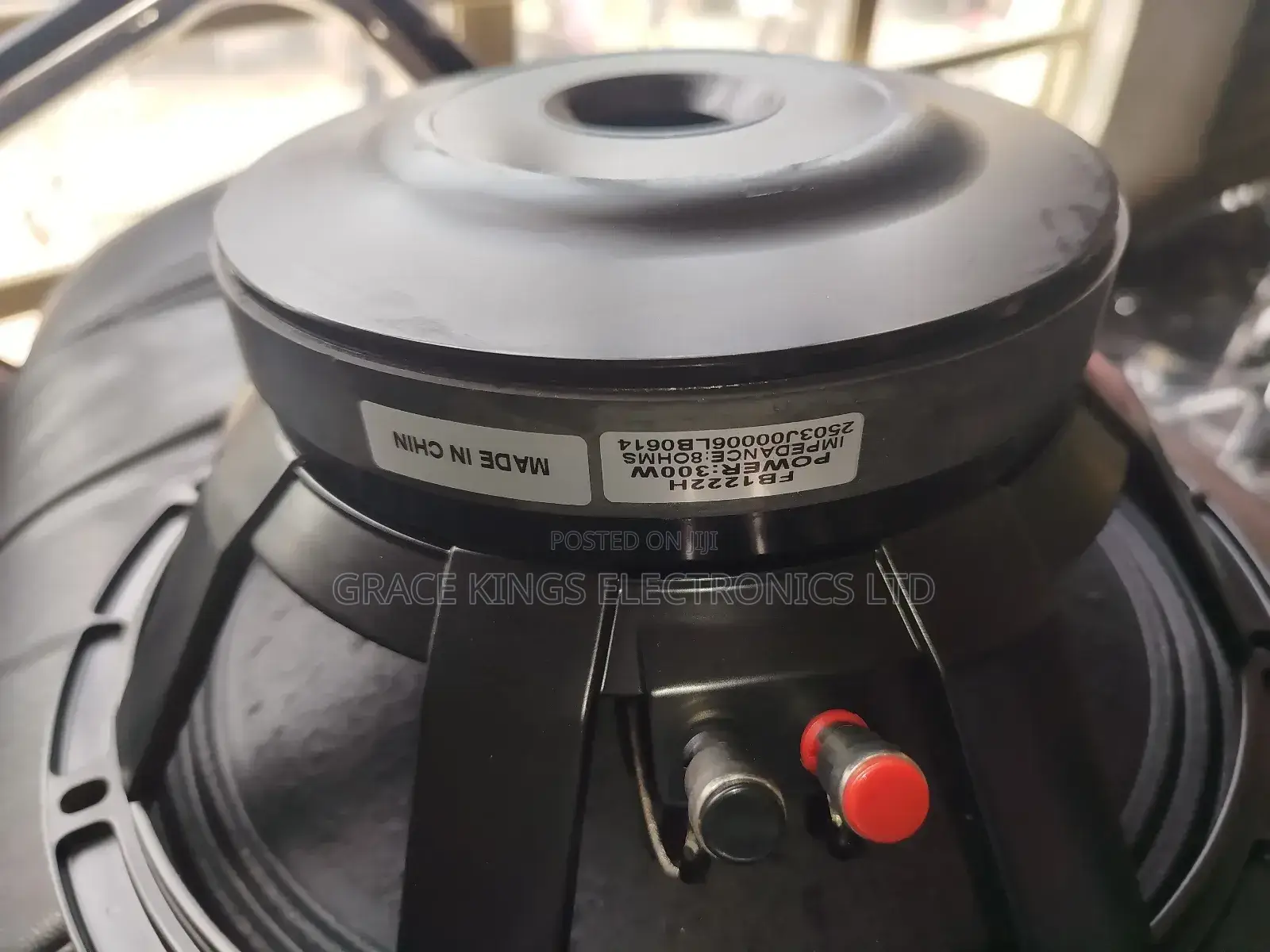 Virgin 12" Replacement Line Arrays Speaker