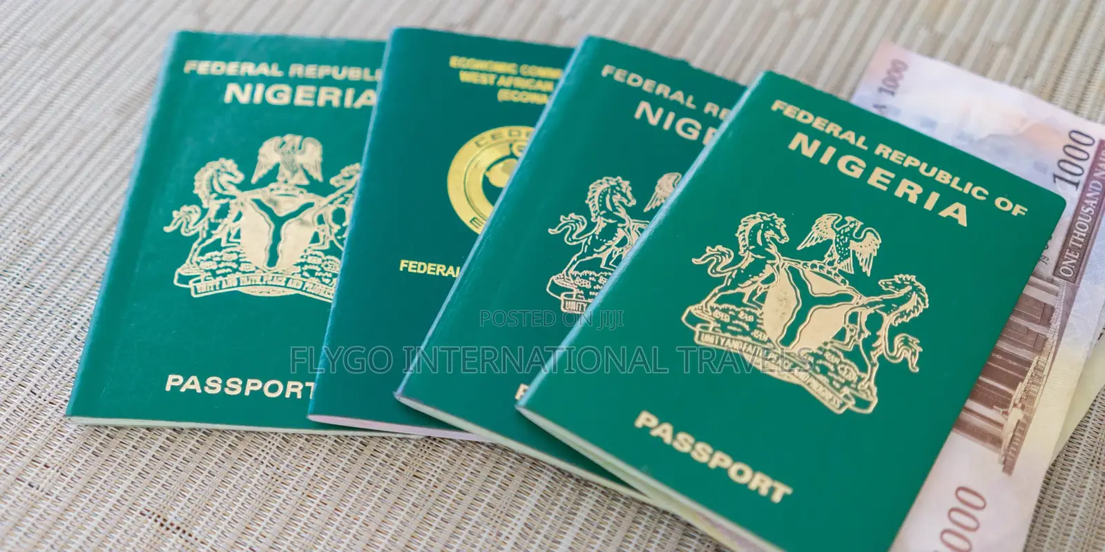 Fast Nigeria International Passport Application, Renewal Processing
