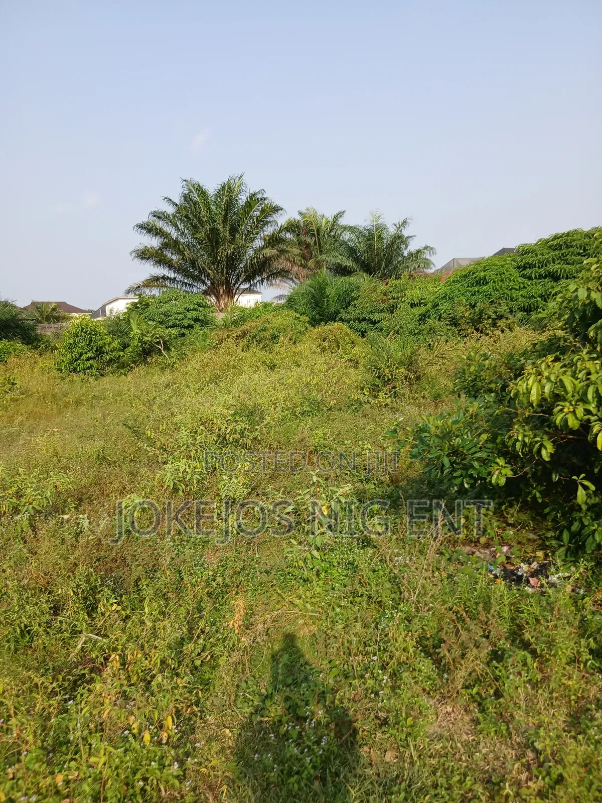 Freehold Deed of Assignment Survey Plan
