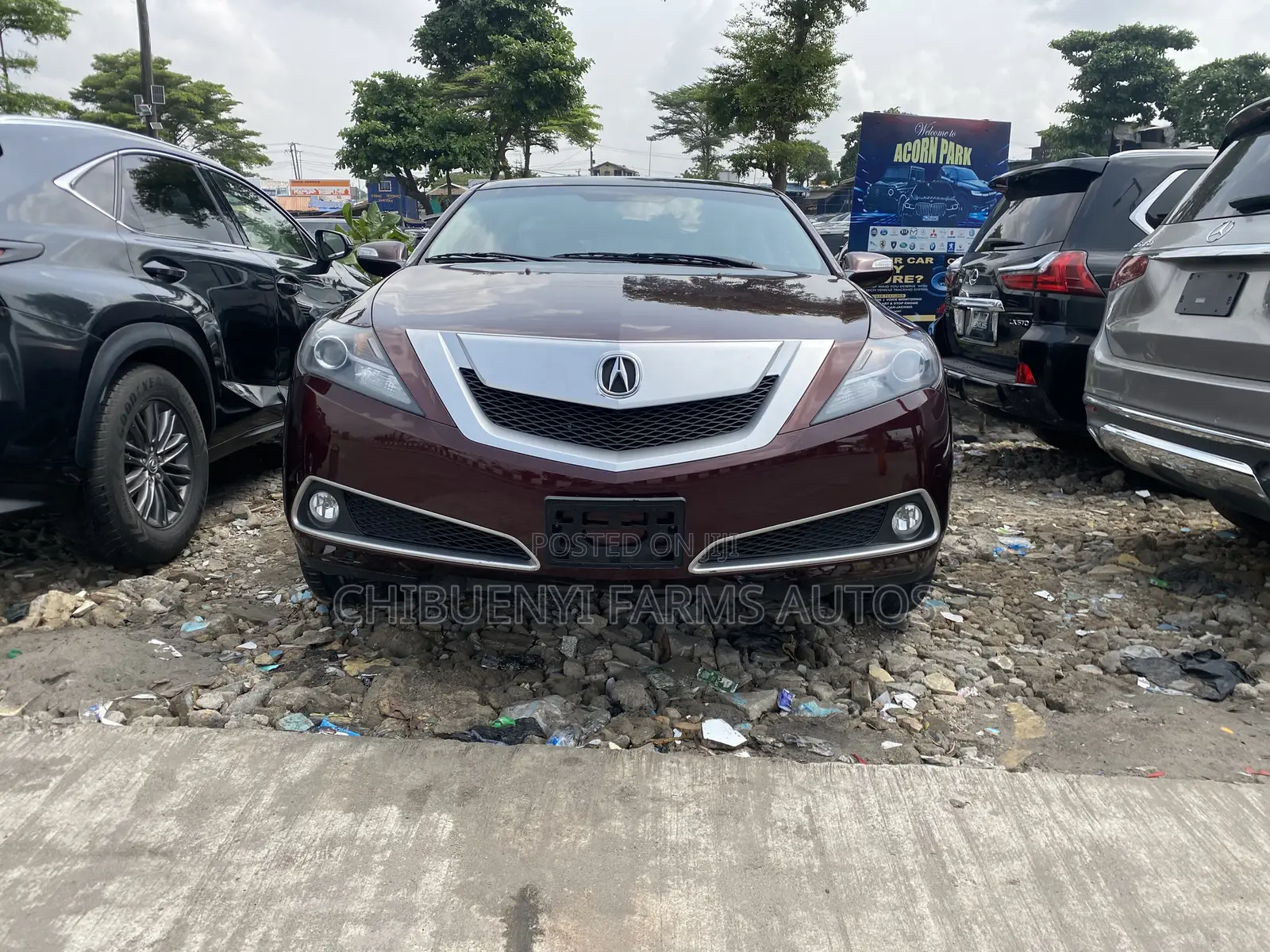 Acura ZDX Base AWD 2011 Red