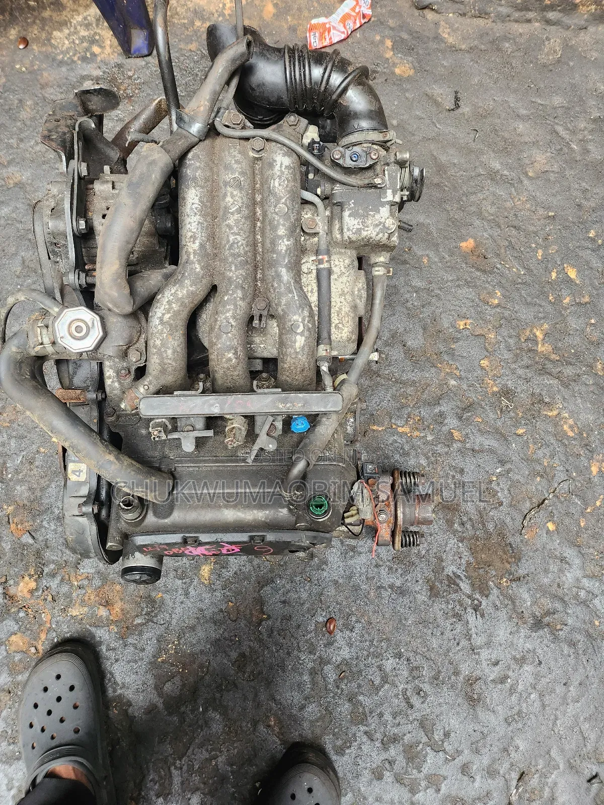 Suzuki F6a Belt