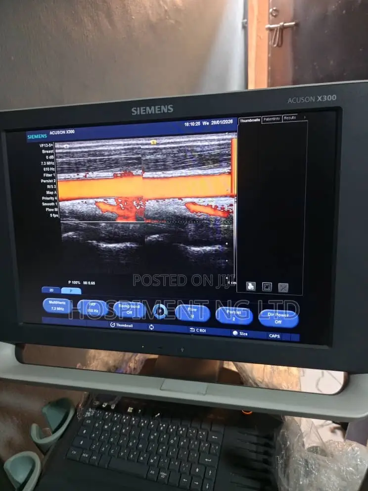 Siemens X300 Premium Edition