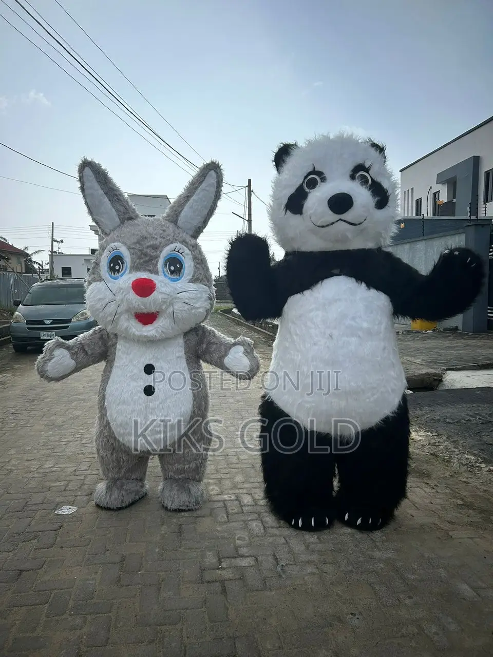 Inflatable Mascot Costume for Rent