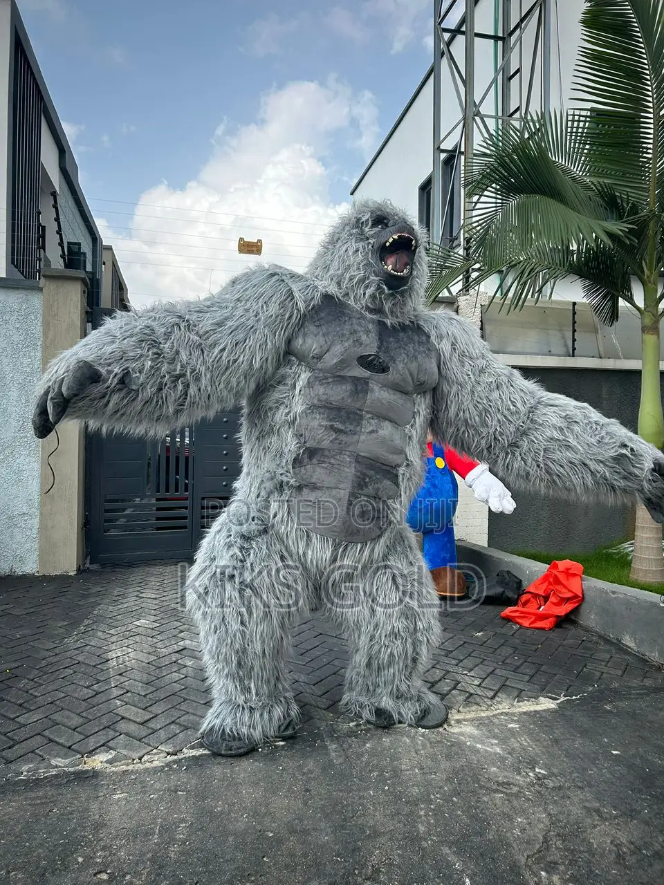 Inflatable Mascot Costume for Rent