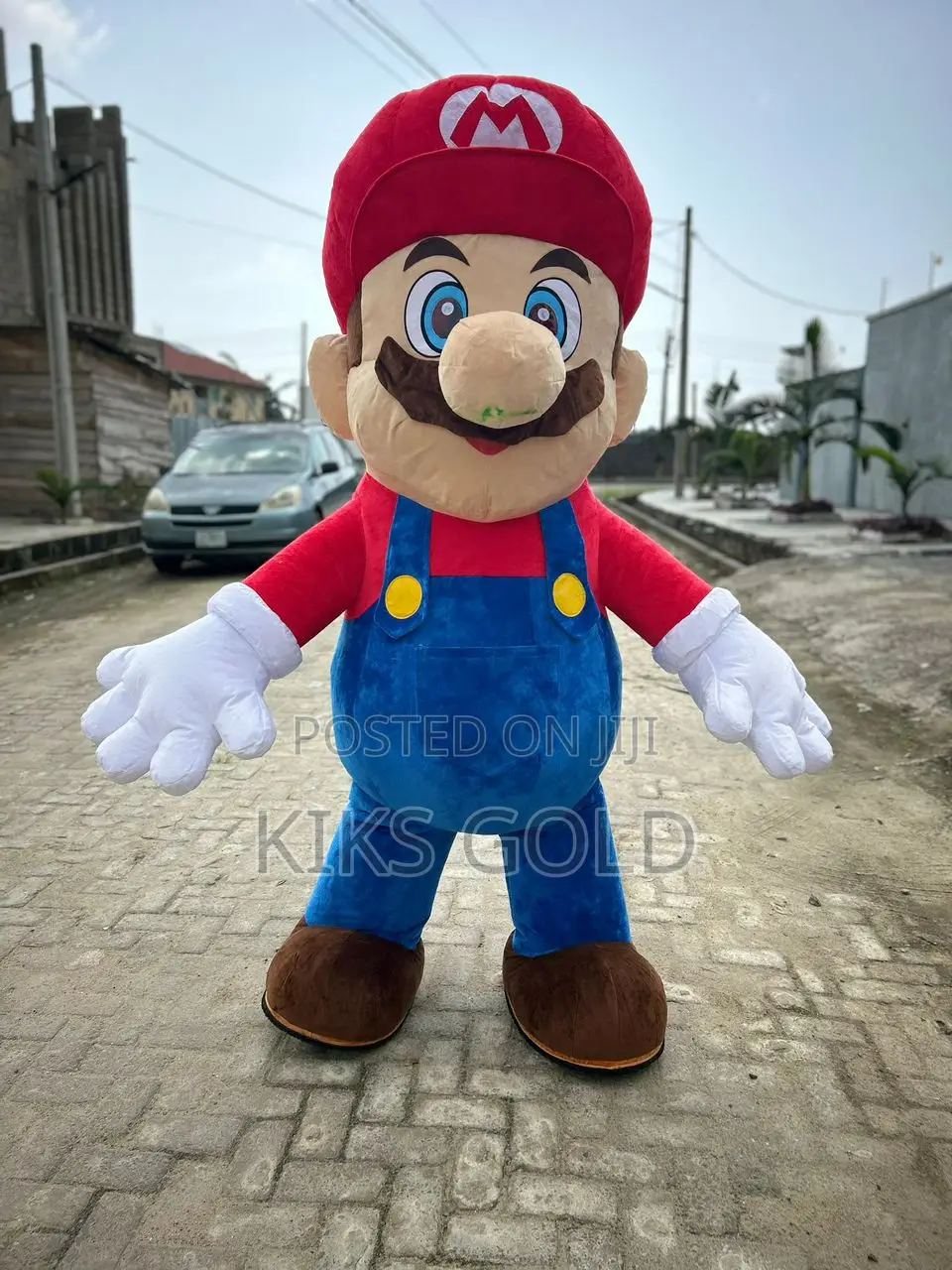Inflatable Mascot Costume for Rent