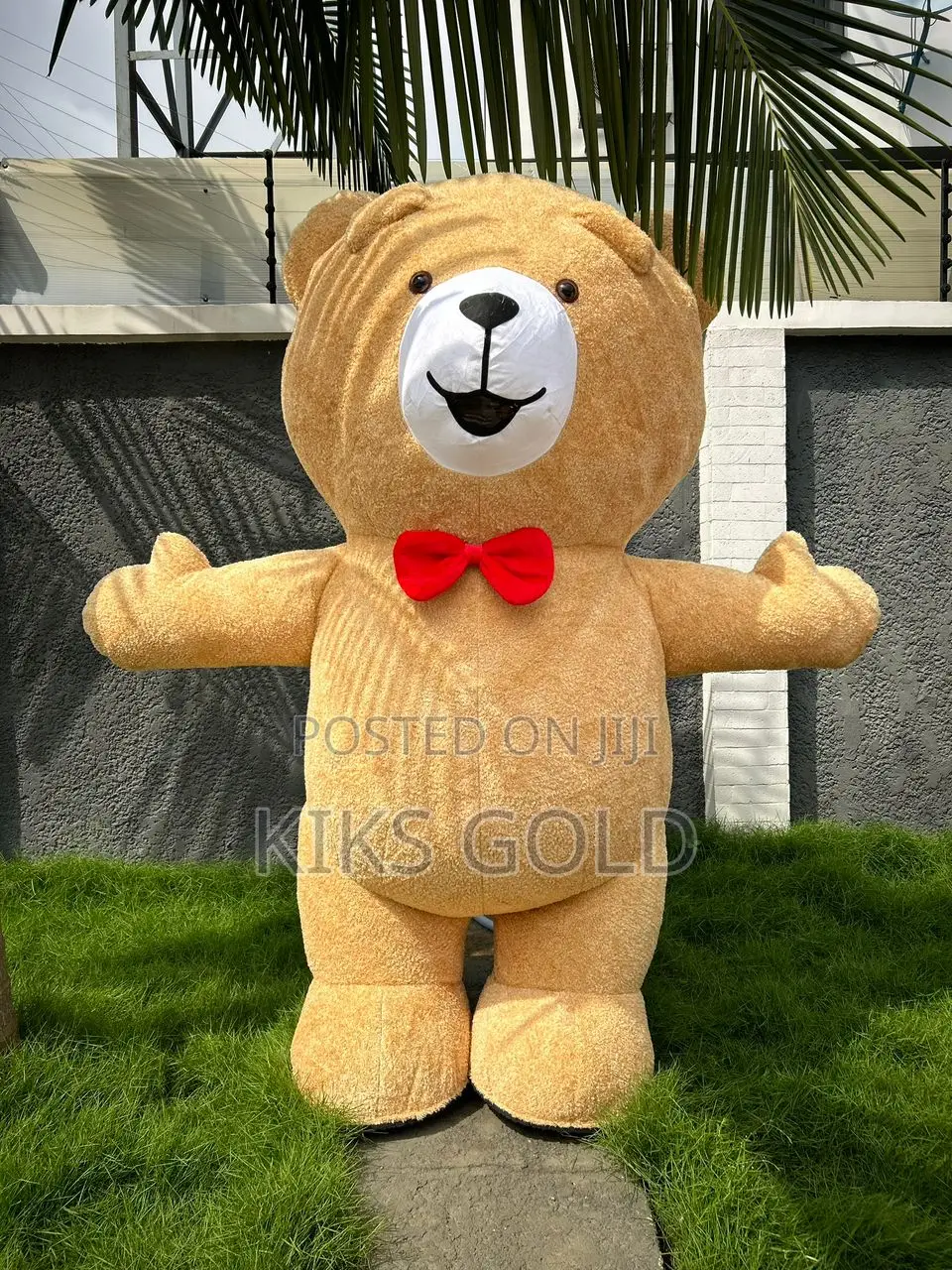Inflatable Mascot Costume for Rent