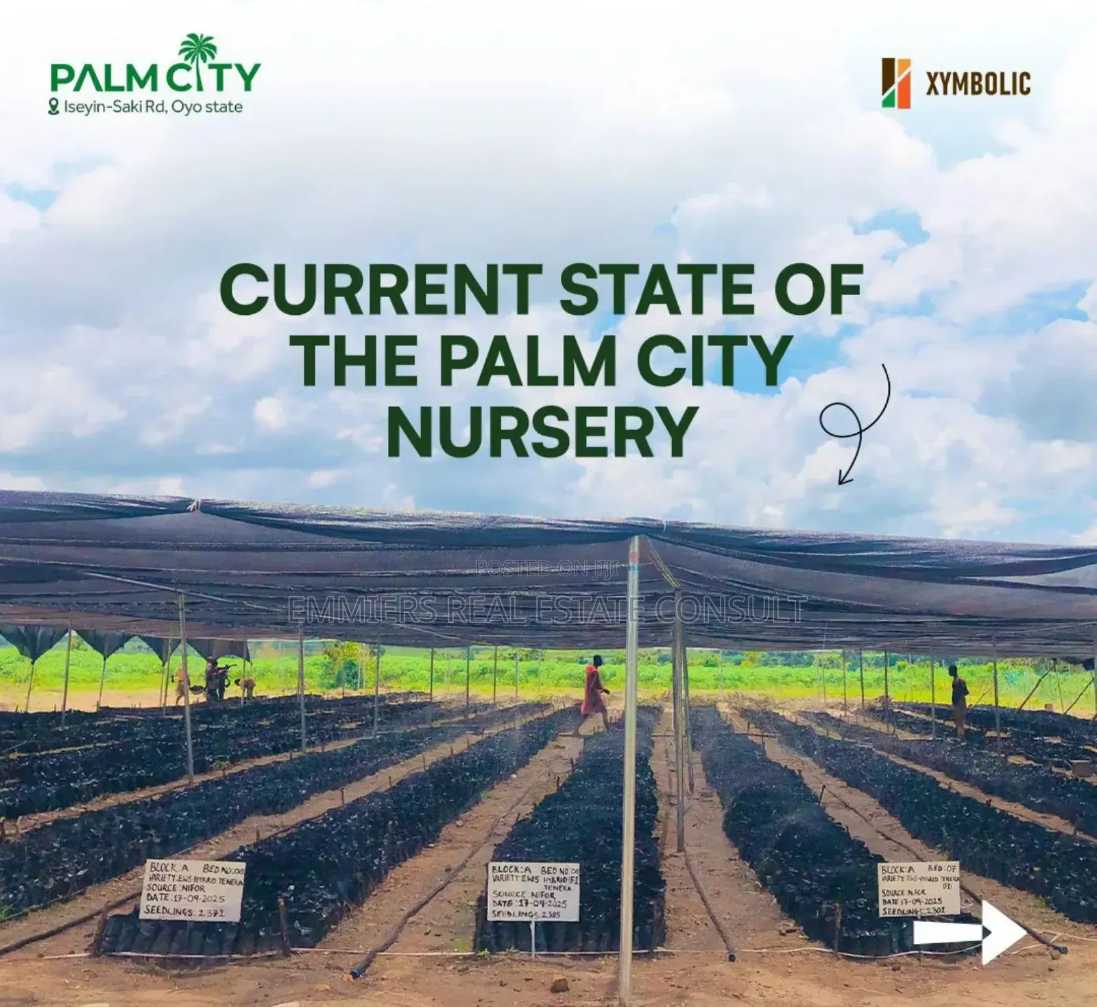 Palm City Farmland