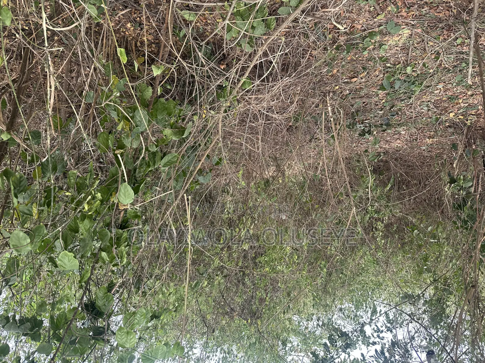 Mixed Used Farmland Available