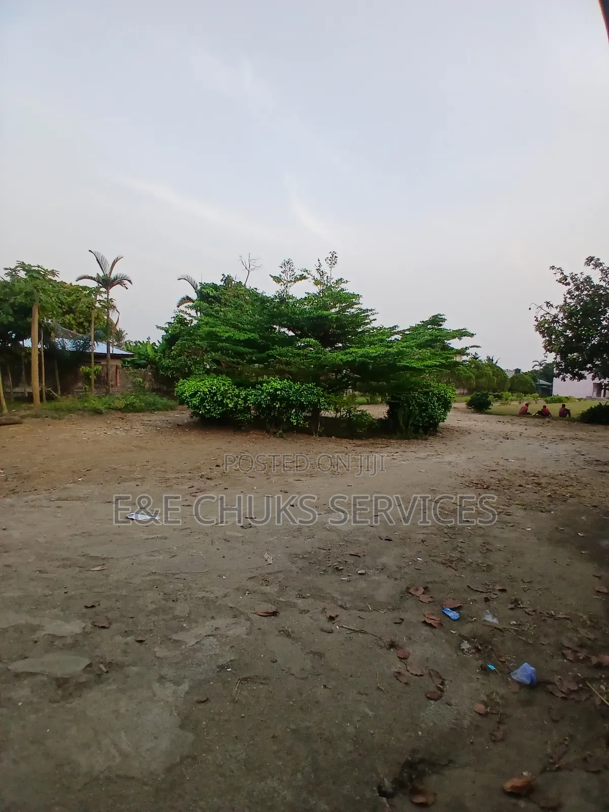15 Plots of Lands With a Big School on It for Sale