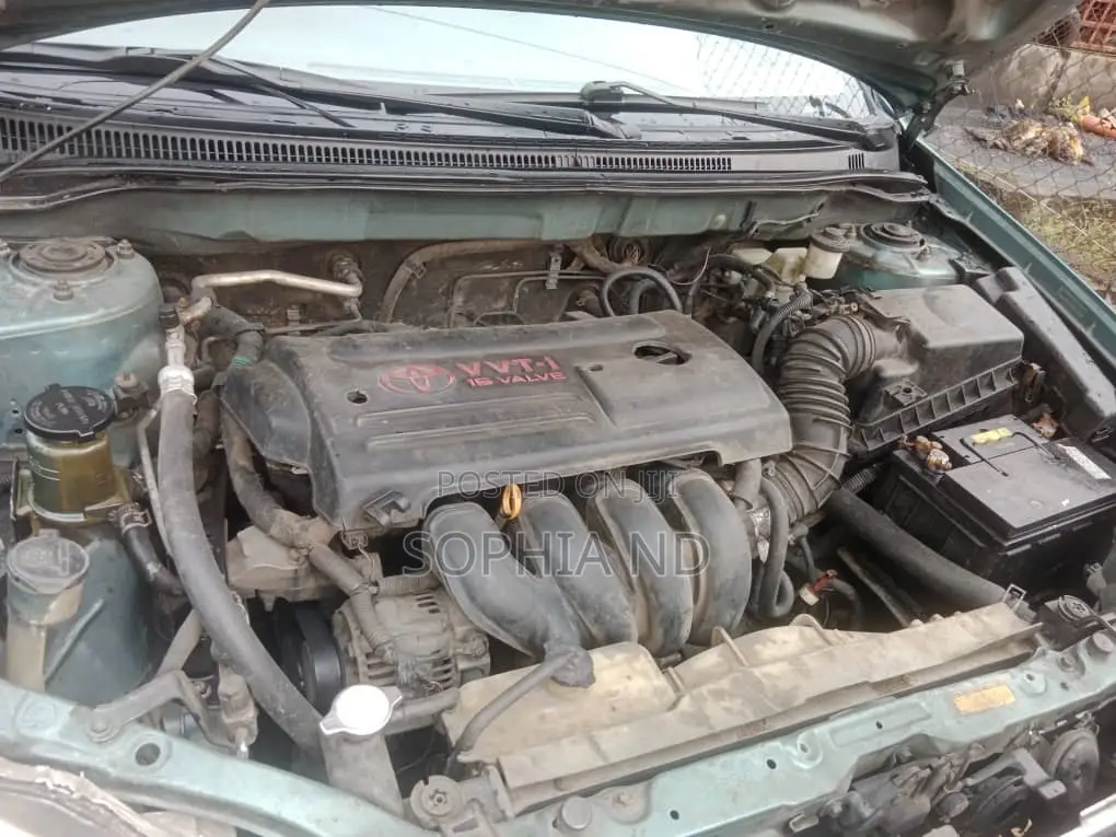 Toyota Corolla 2006 Green