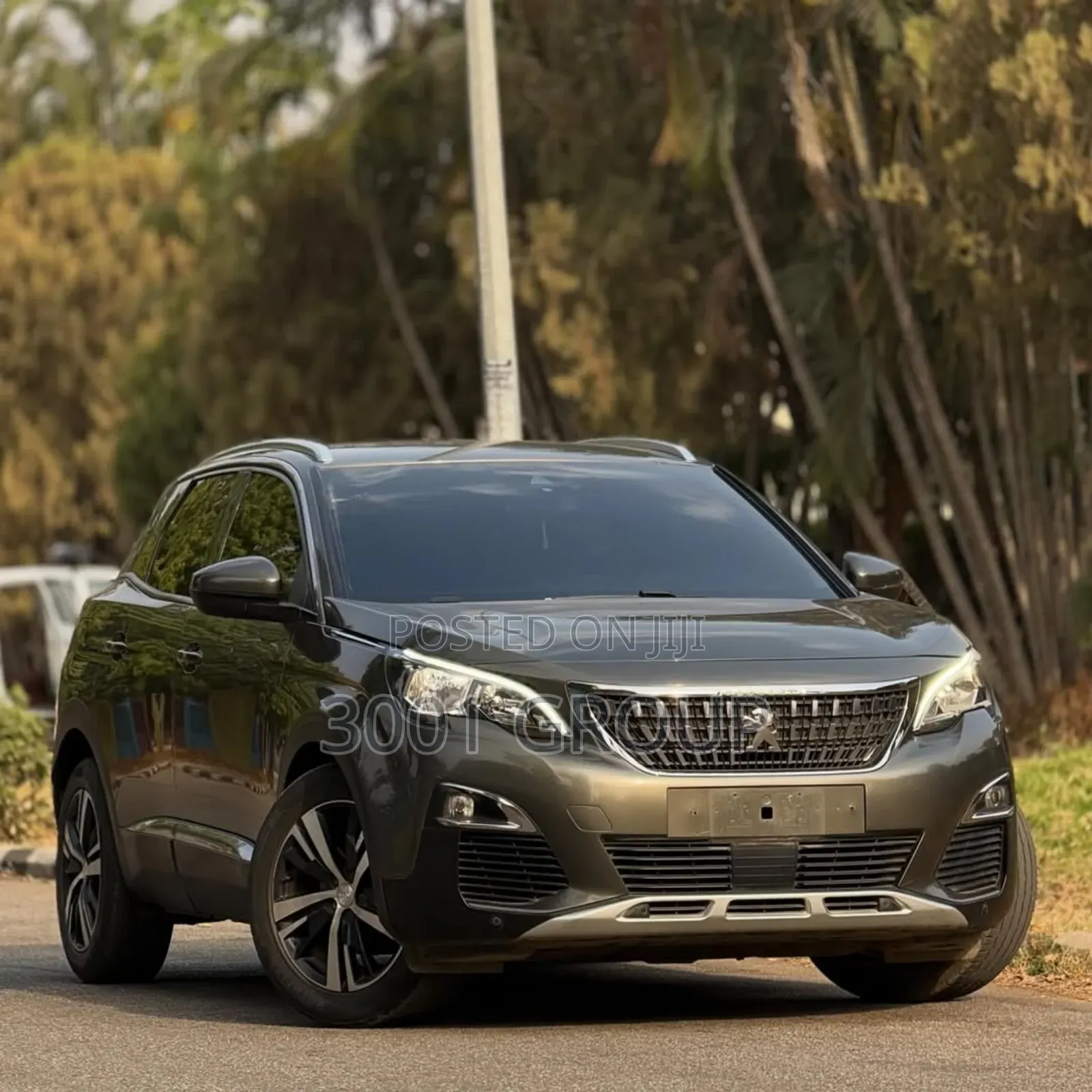 Peugeot 3008 2020 Gray