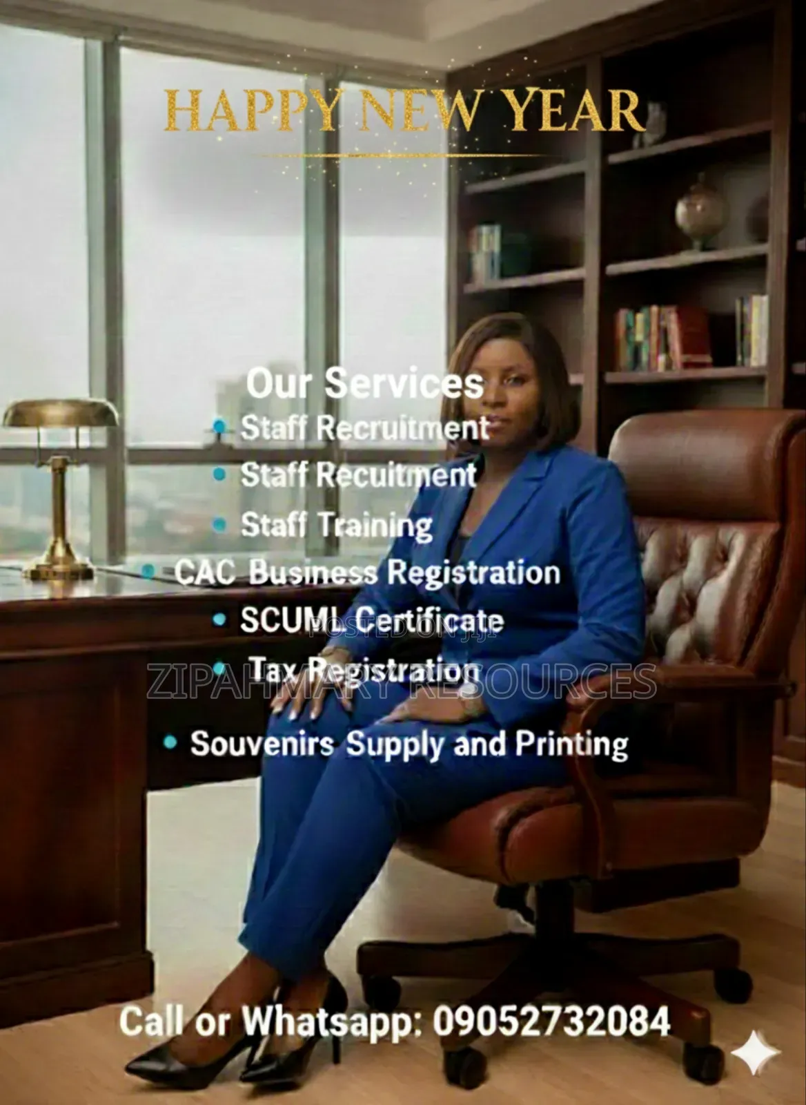 Professional Virtual Assistant