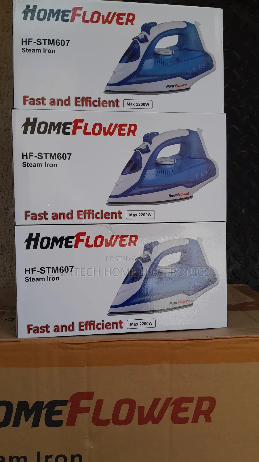 Homeflower Steam Iron [Hf607]