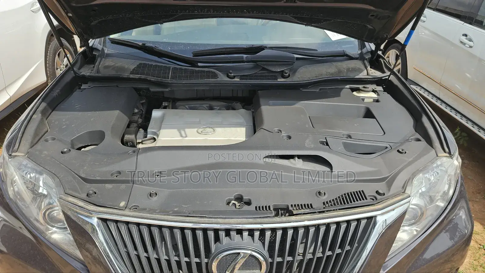 Lexus RX 350 2010 Gray