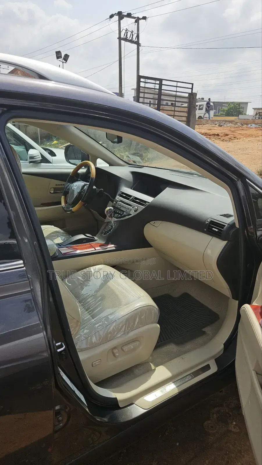 Lexus RX 350 2010 Gray