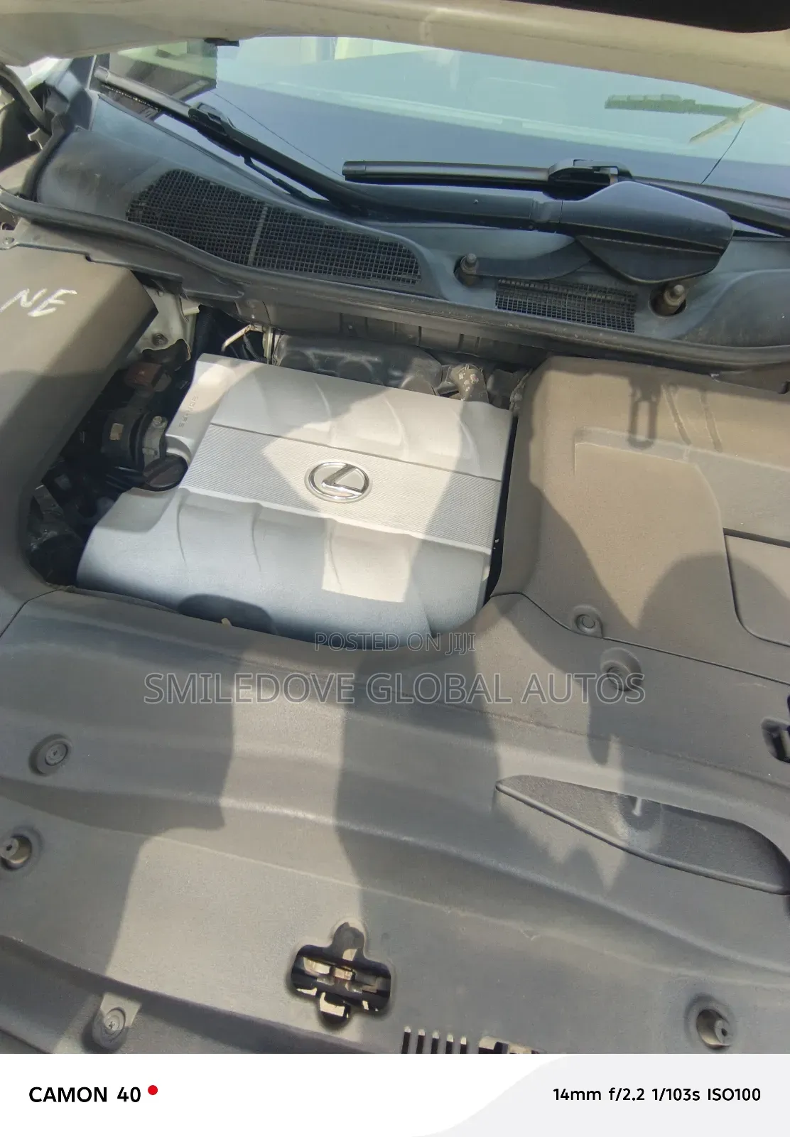 Lexus RX 2015 White