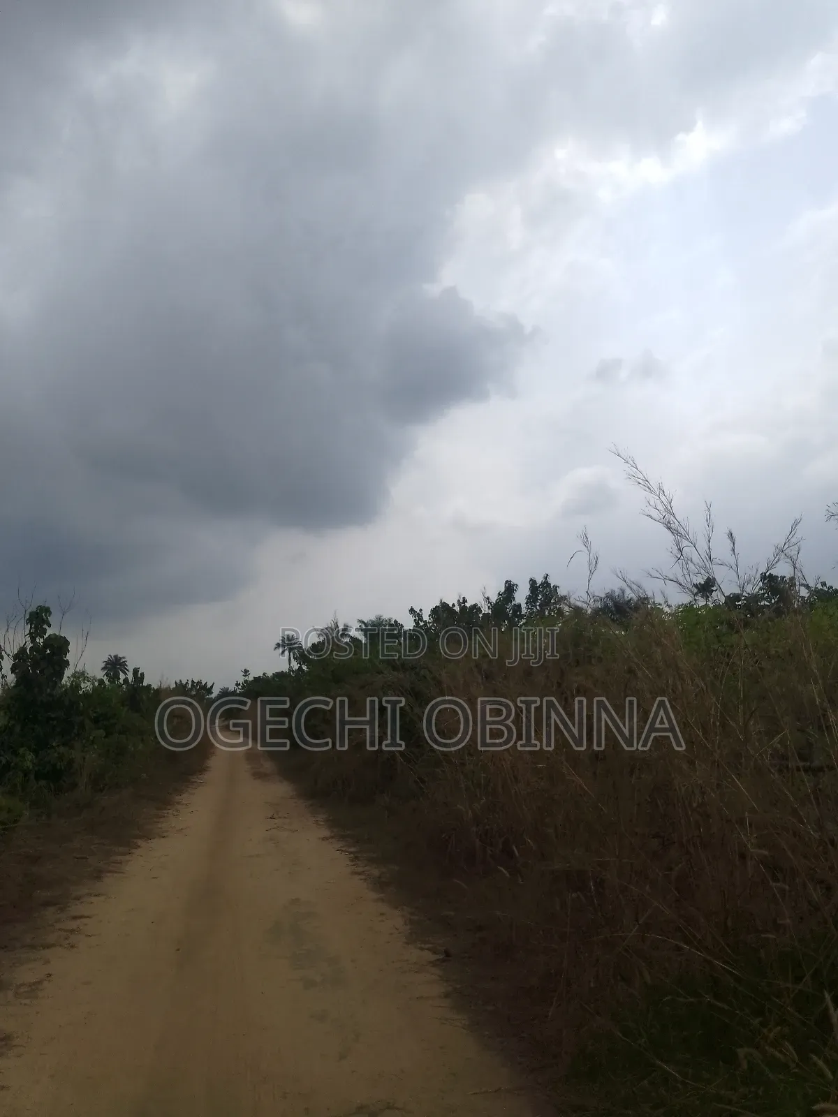 Distress Sale of 7 Plots of Land for 3m in Ulakwo Etche