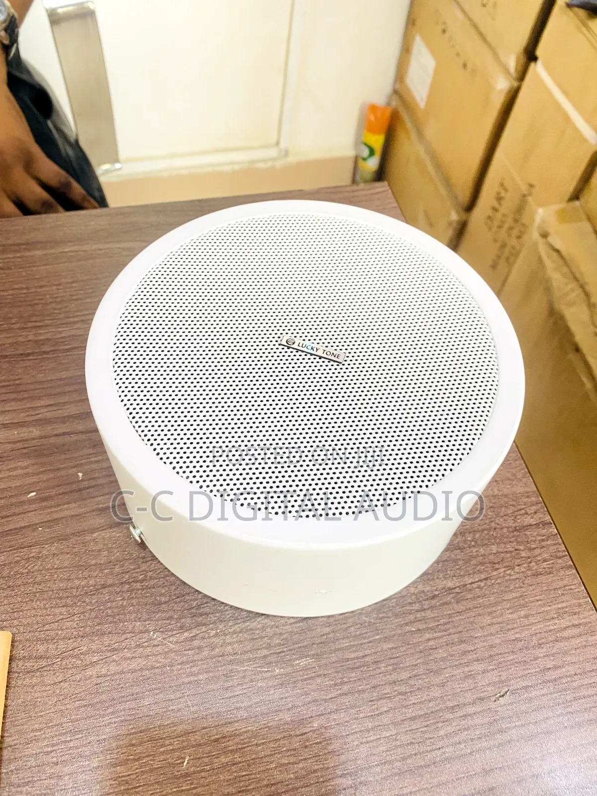Surface Speaker