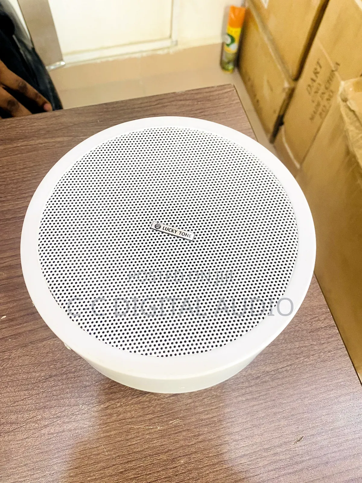 Surface Speaker