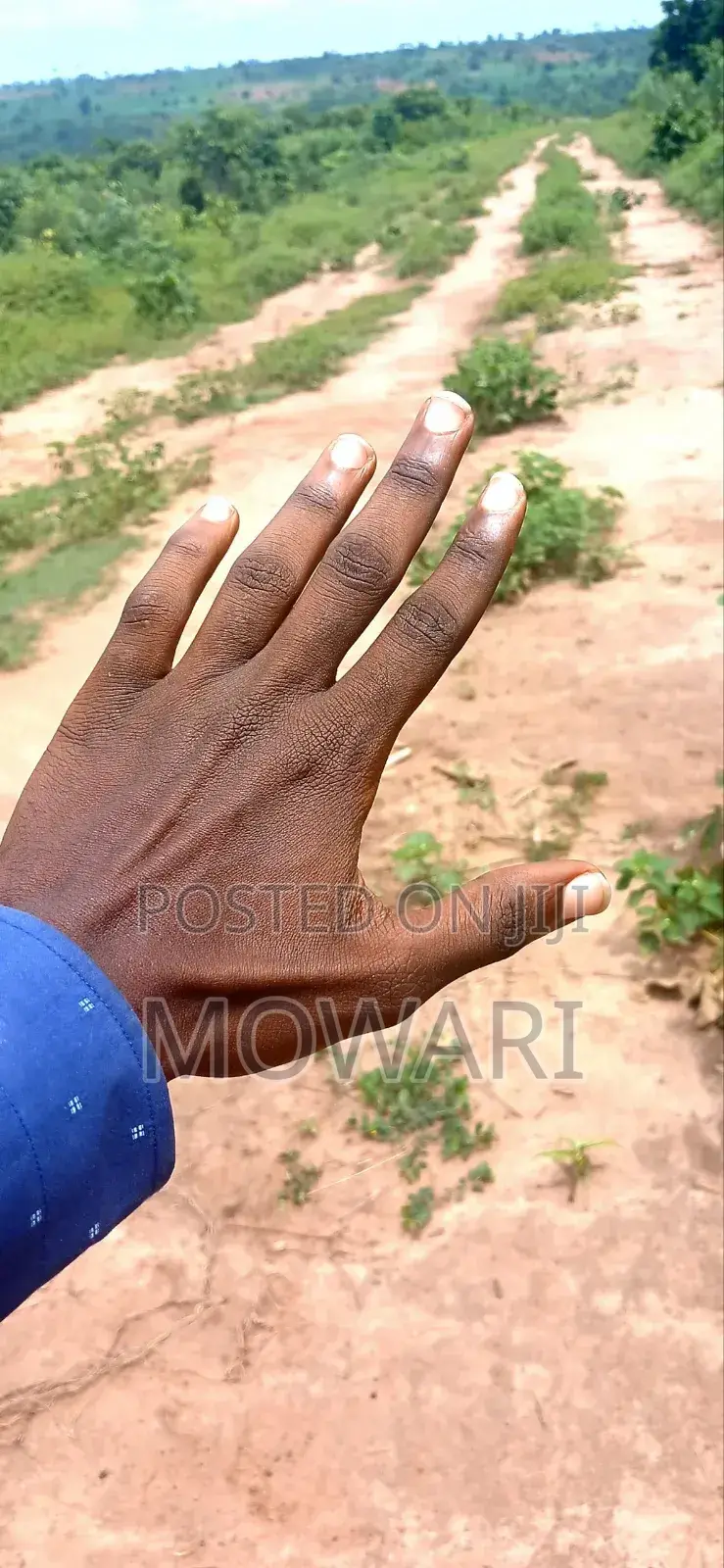 St Kitts, Ibusa • Verified 50×100 Land • ₦6m • Secure Docs