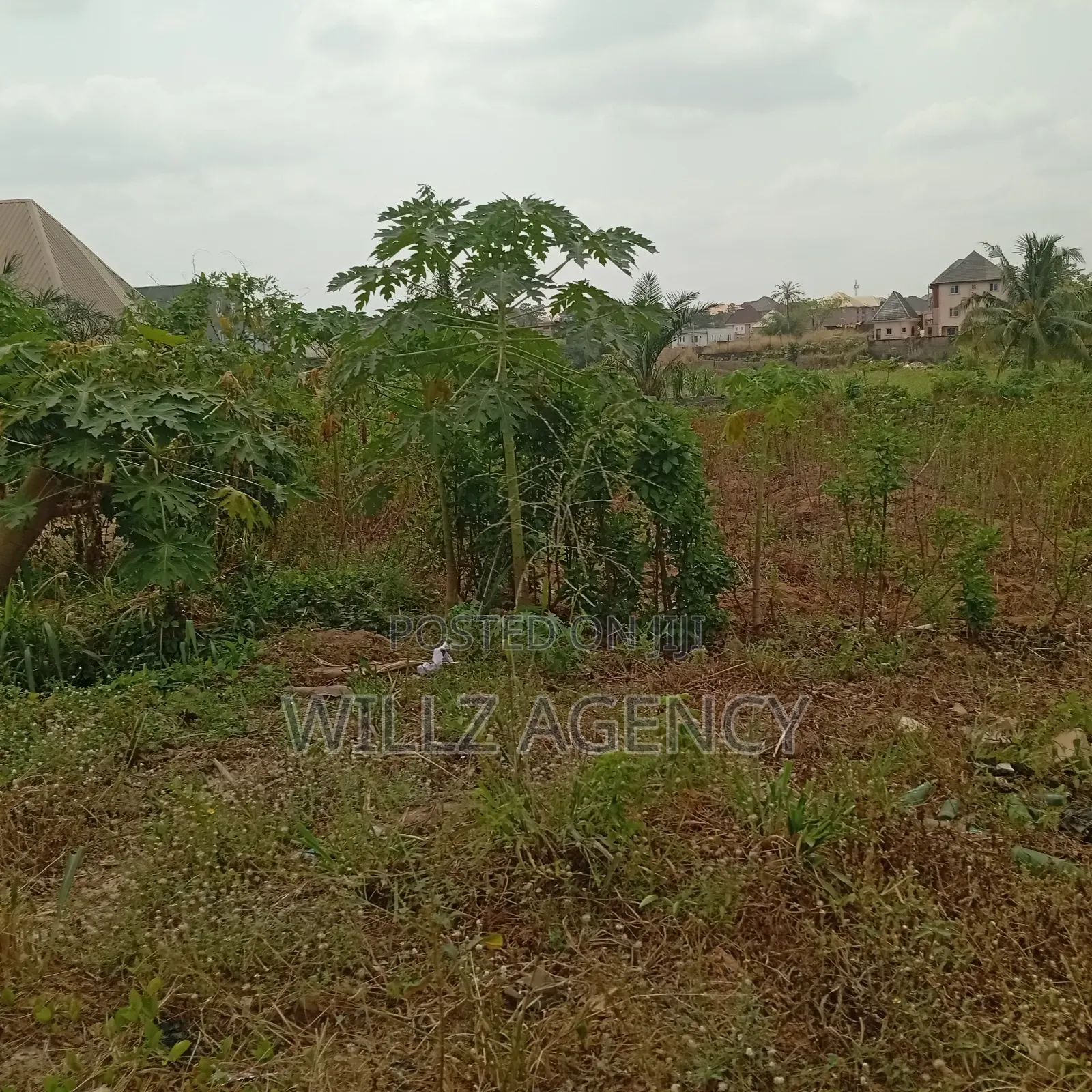A Plot of Land