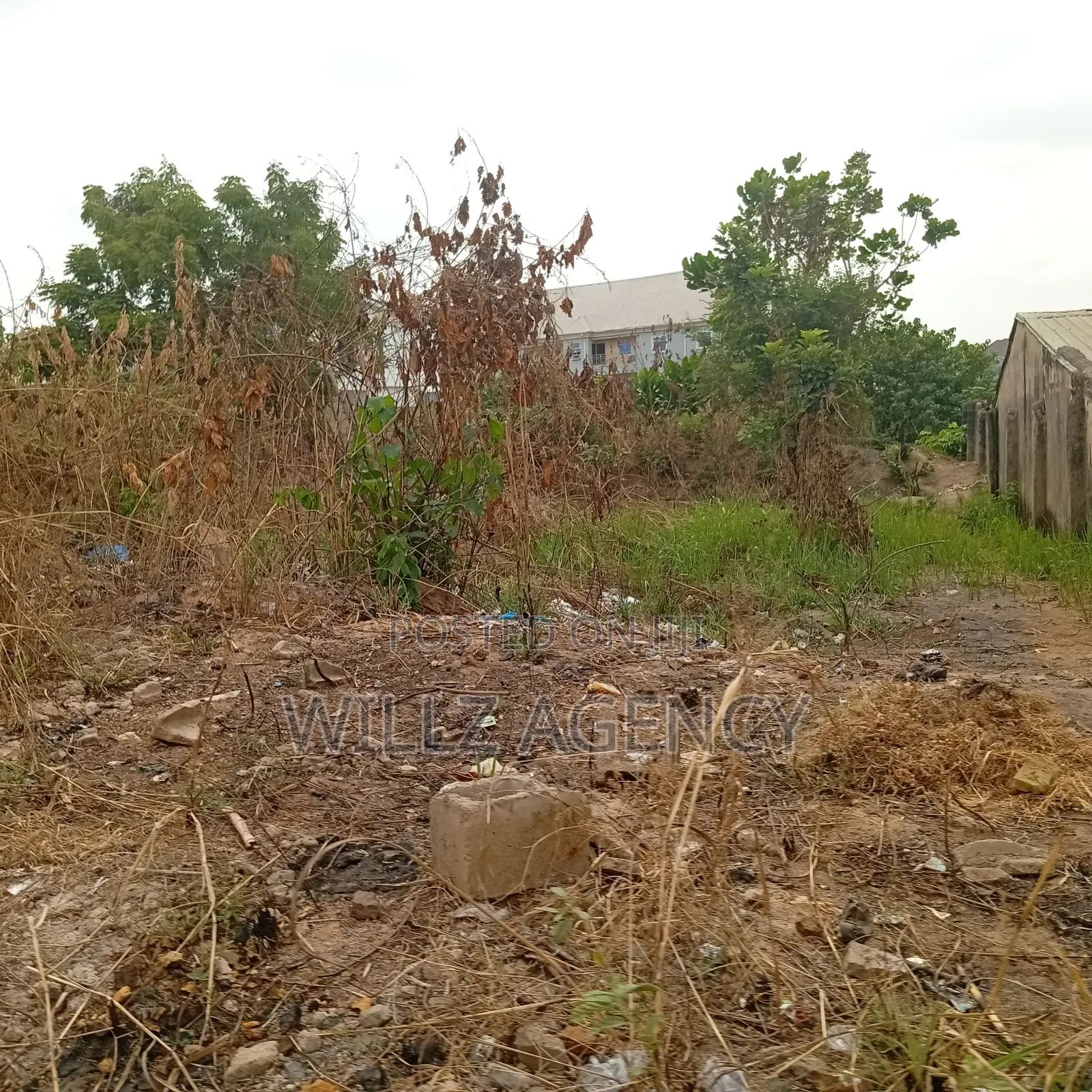 A Plot of Land