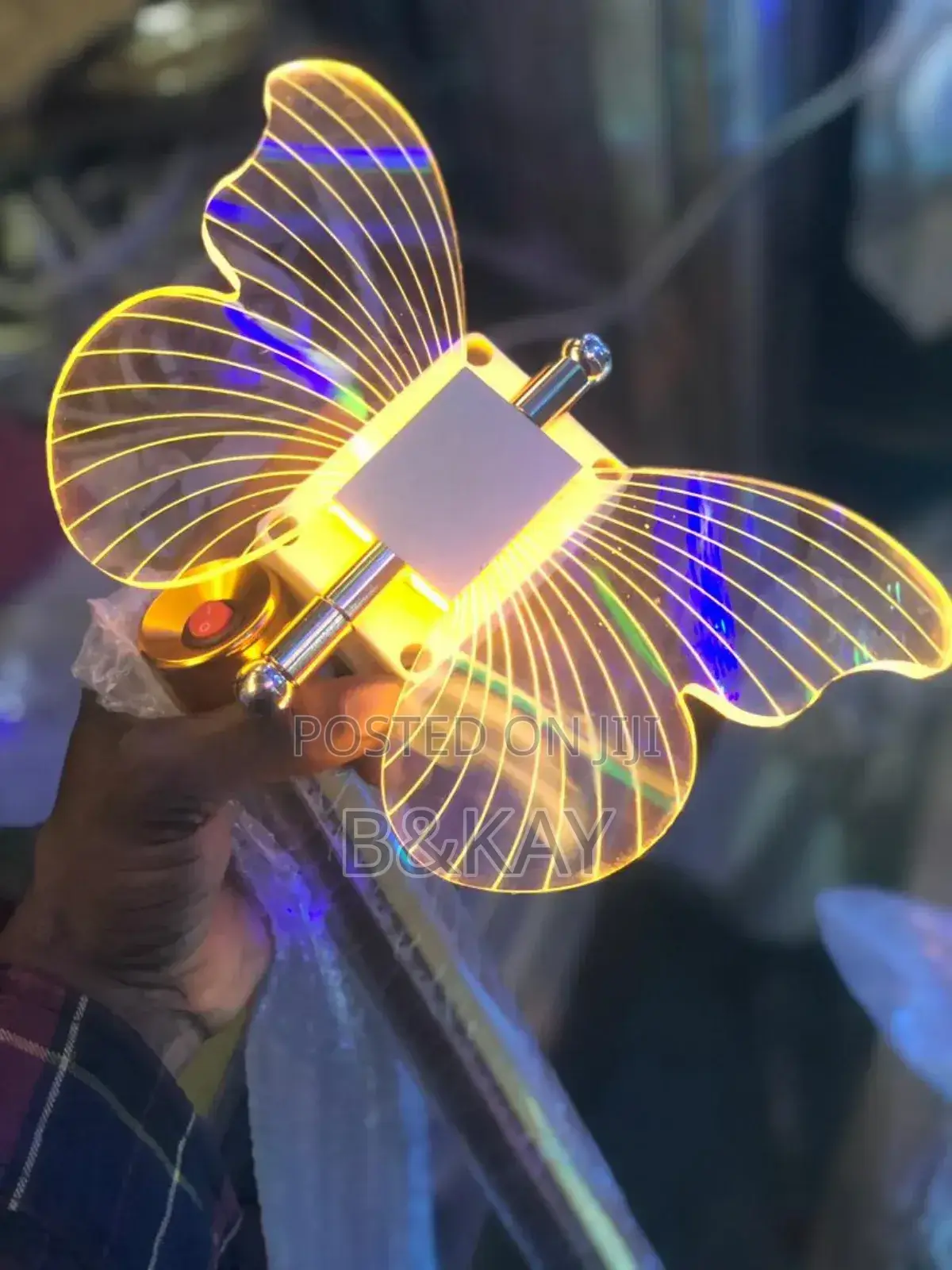 Champaign Butterfly