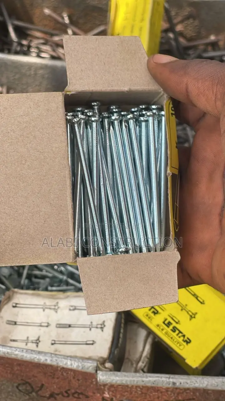 Concrete Roofing Nail for Building/Construction