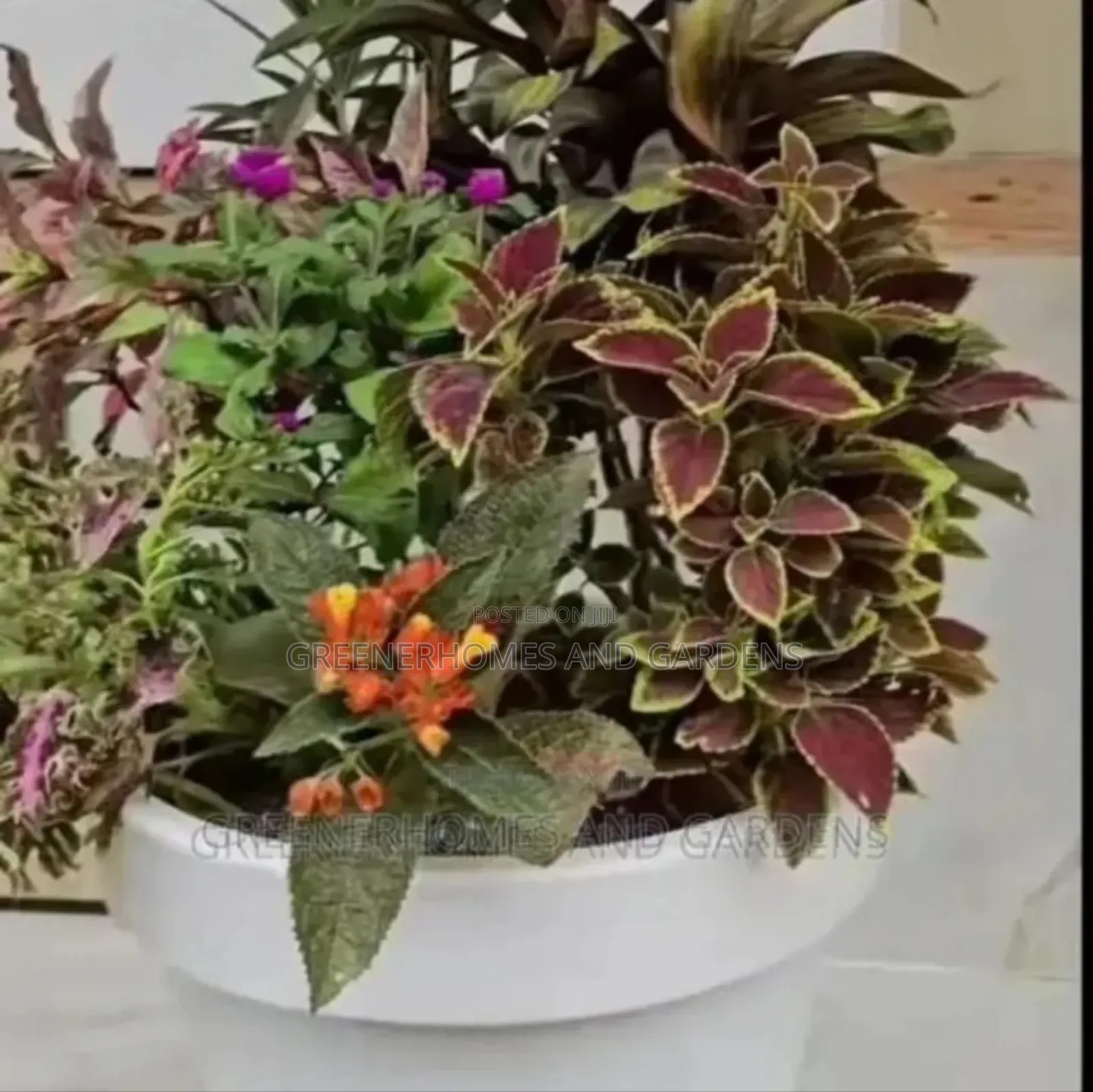 Outdoor Plant Decor