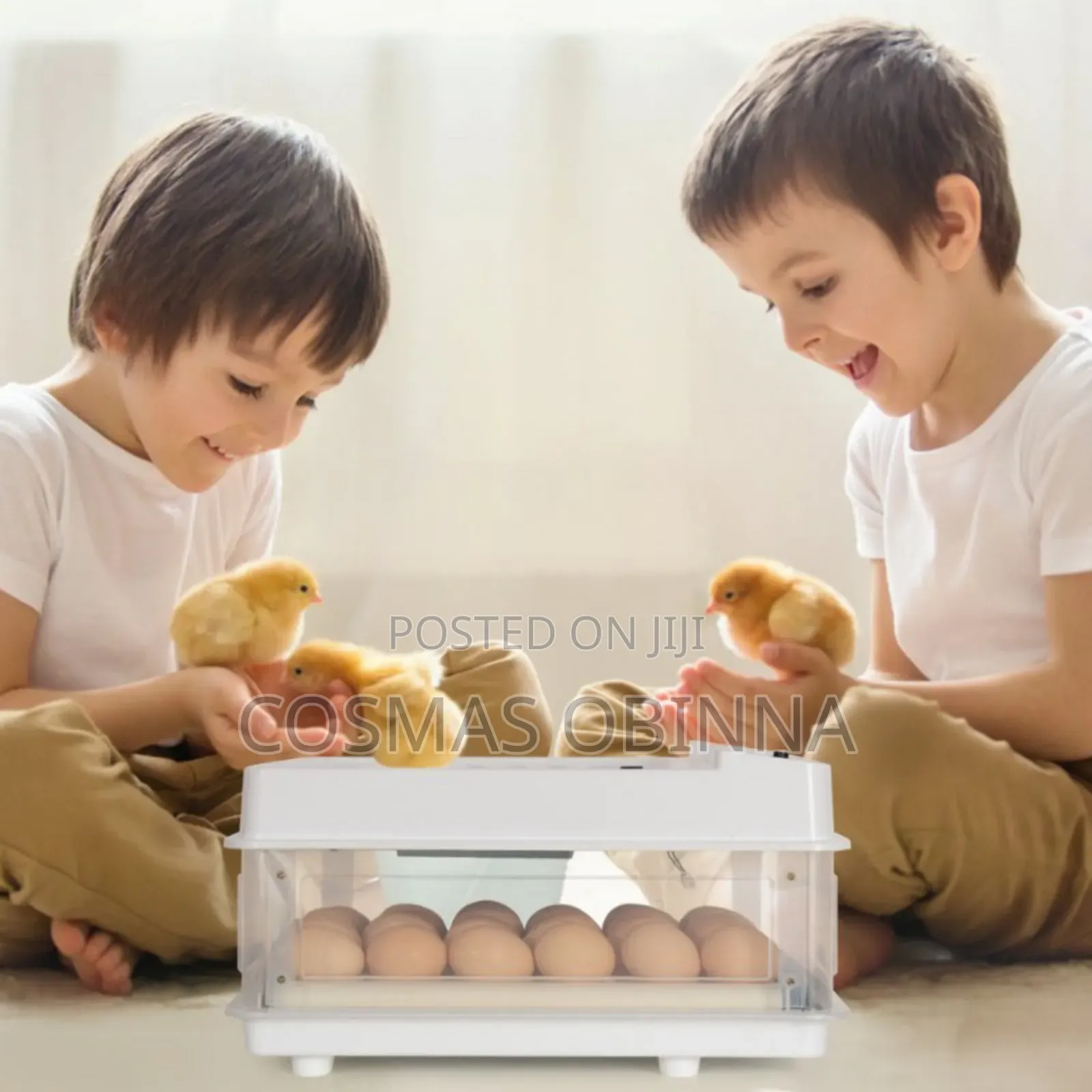 15 Eggs Incubator Dual Power