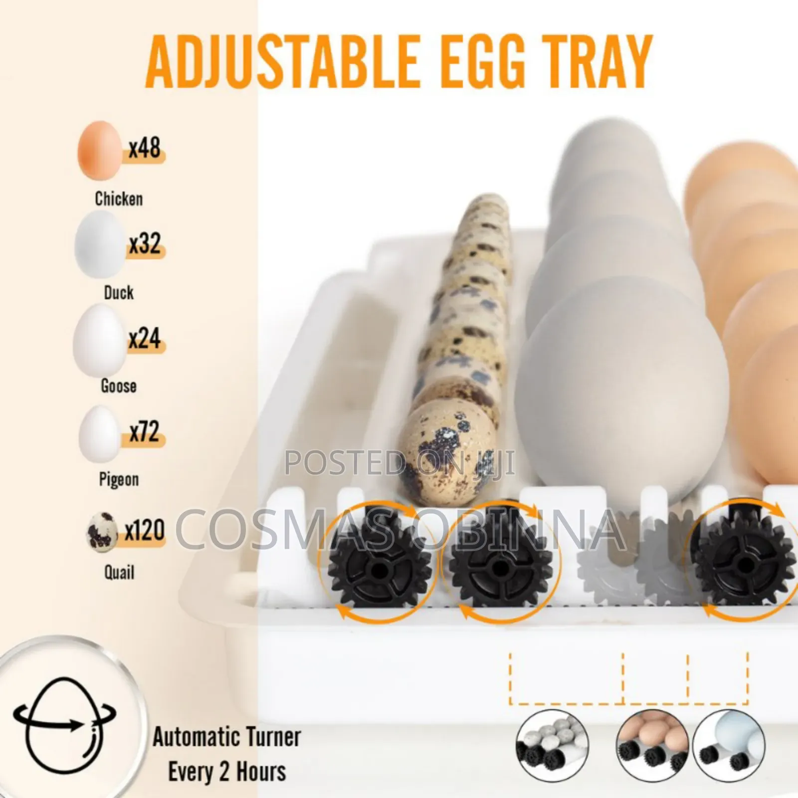 10 Eggs Incubator With Inbuilt Inverter
