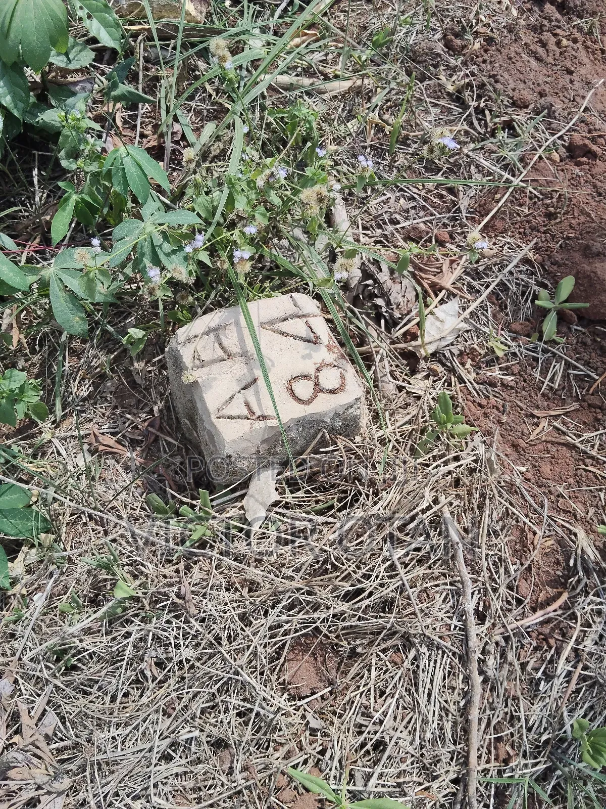 One Plot of Land in a Choice Area in Benin